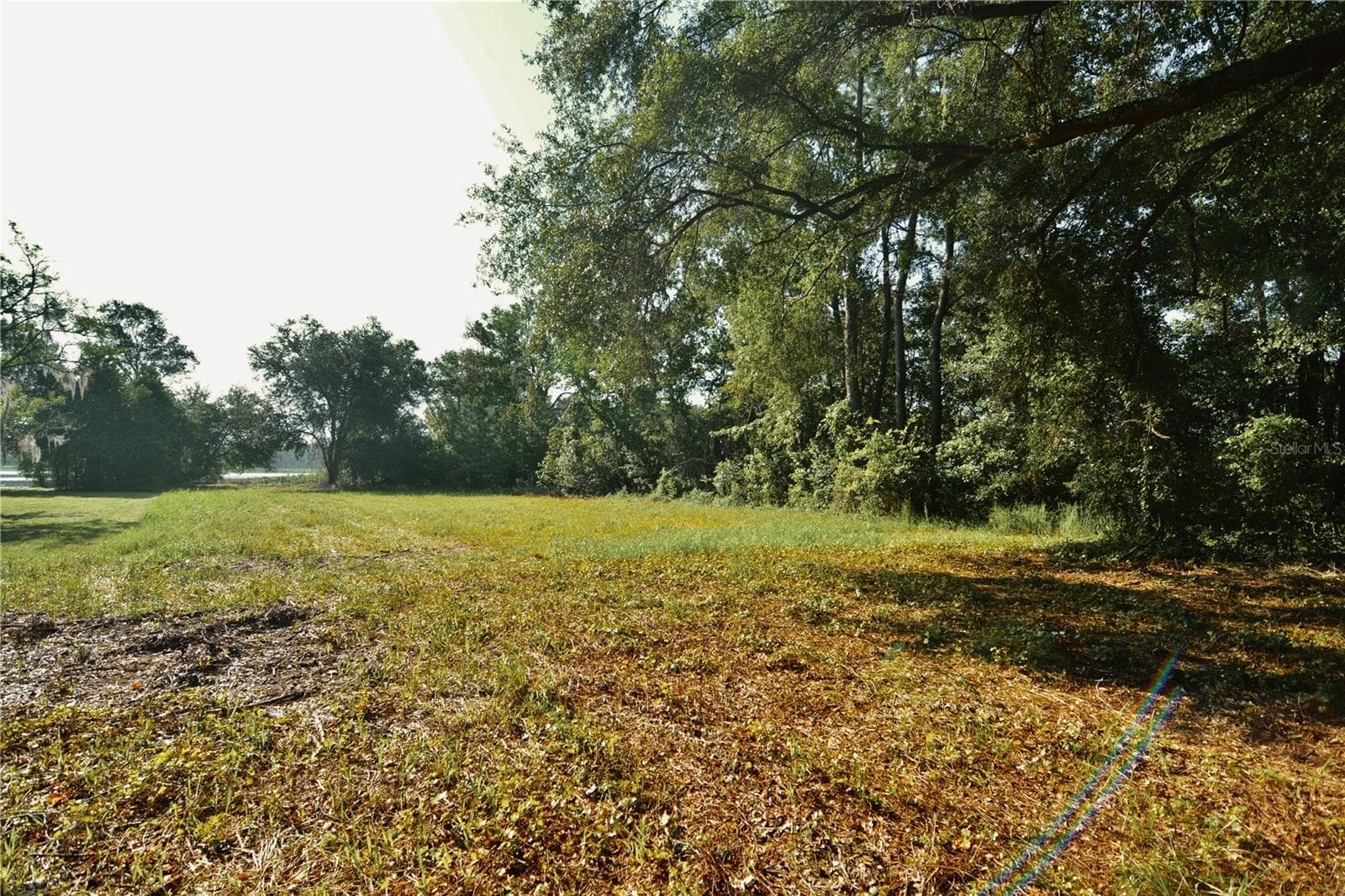 Land at 00 HALL LAKE RD, KEYSTONE HEIGHTS, photo 18 of 39
