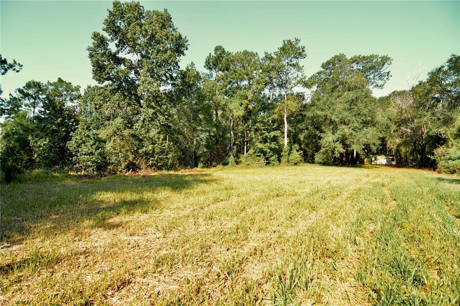 Land at 00 HALL LAKE RD, KEYSTONE HEIGHTS, photo 21 of 39
