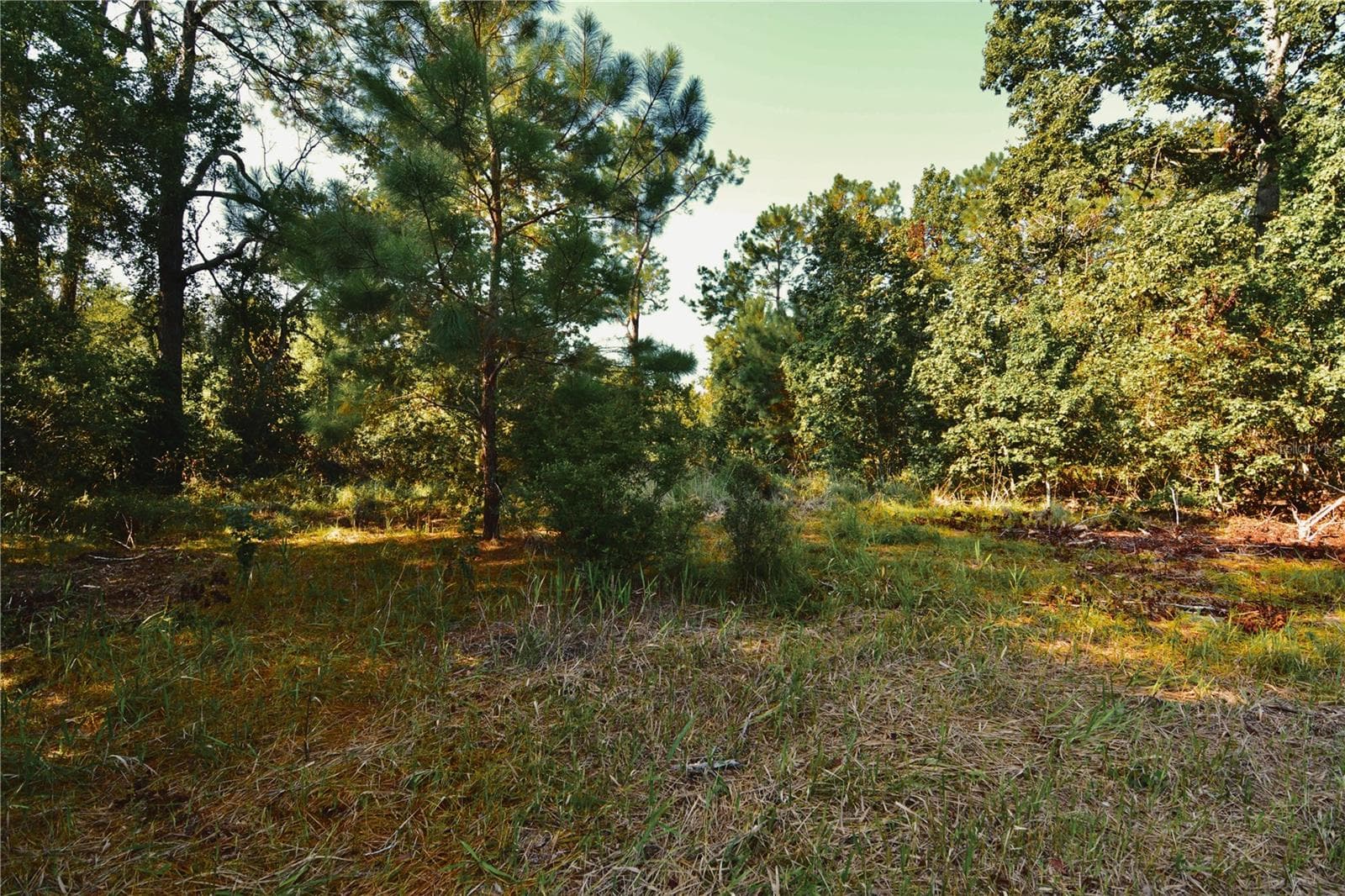 Land at 00 HALL LAKE RD, KEYSTONE HEIGHTS, photo 23 of 39
