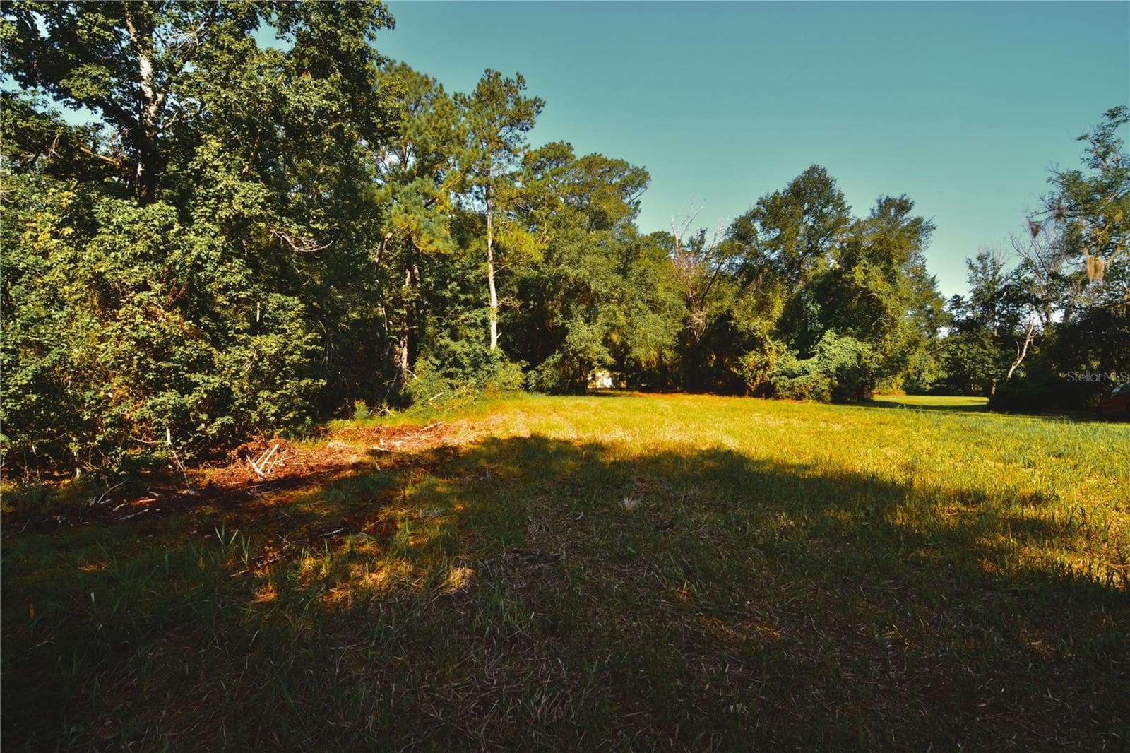 Land at 00 HALL LAKE RD, KEYSTONE HEIGHTS, photo 26 of 39
