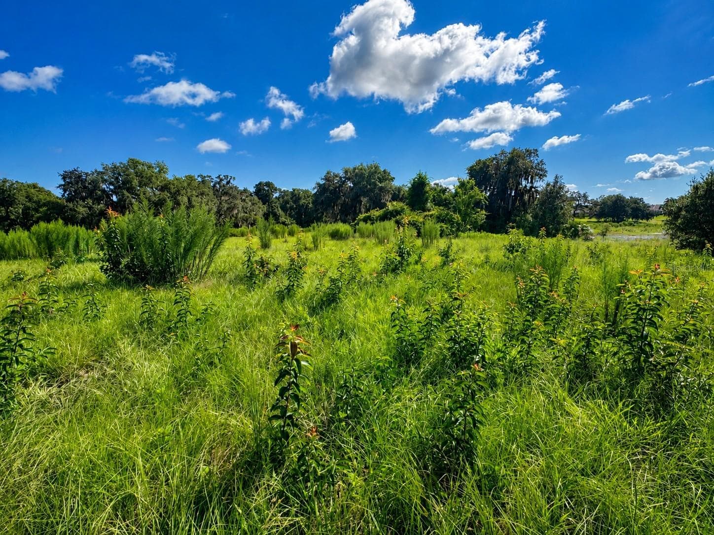 Land at 8806 E SWEETWATER DR, INVERNESS, photo 8 of 10