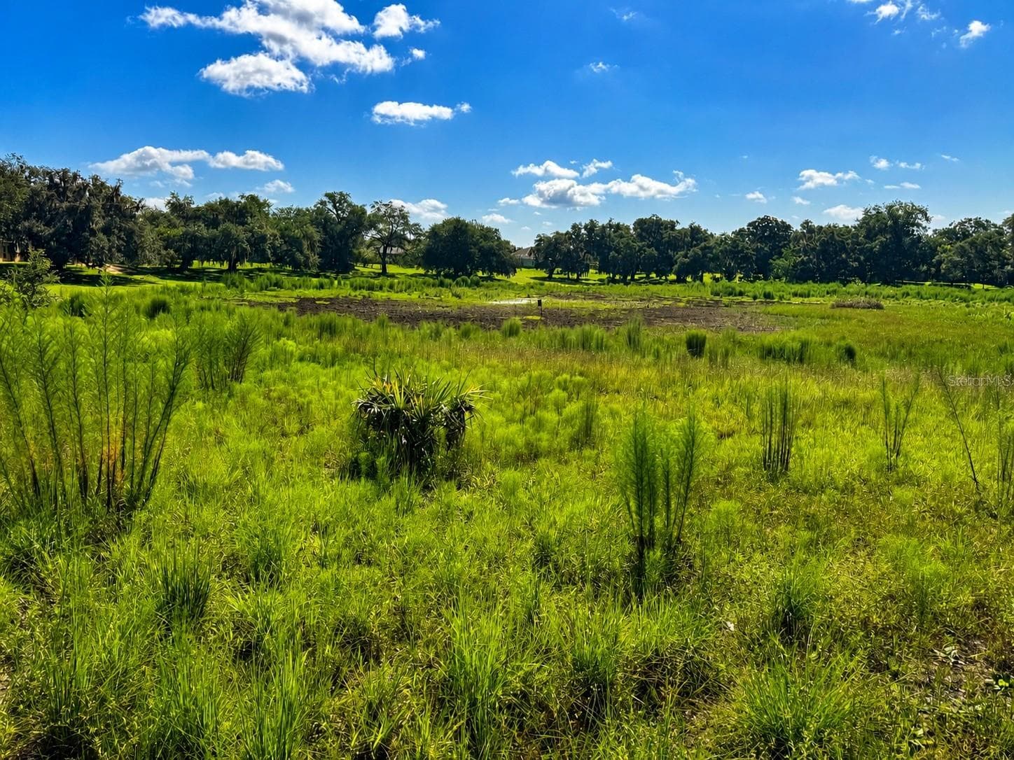 Land at 8806 E SWEETWATER DR, INVERNESS, photo 9 of 10