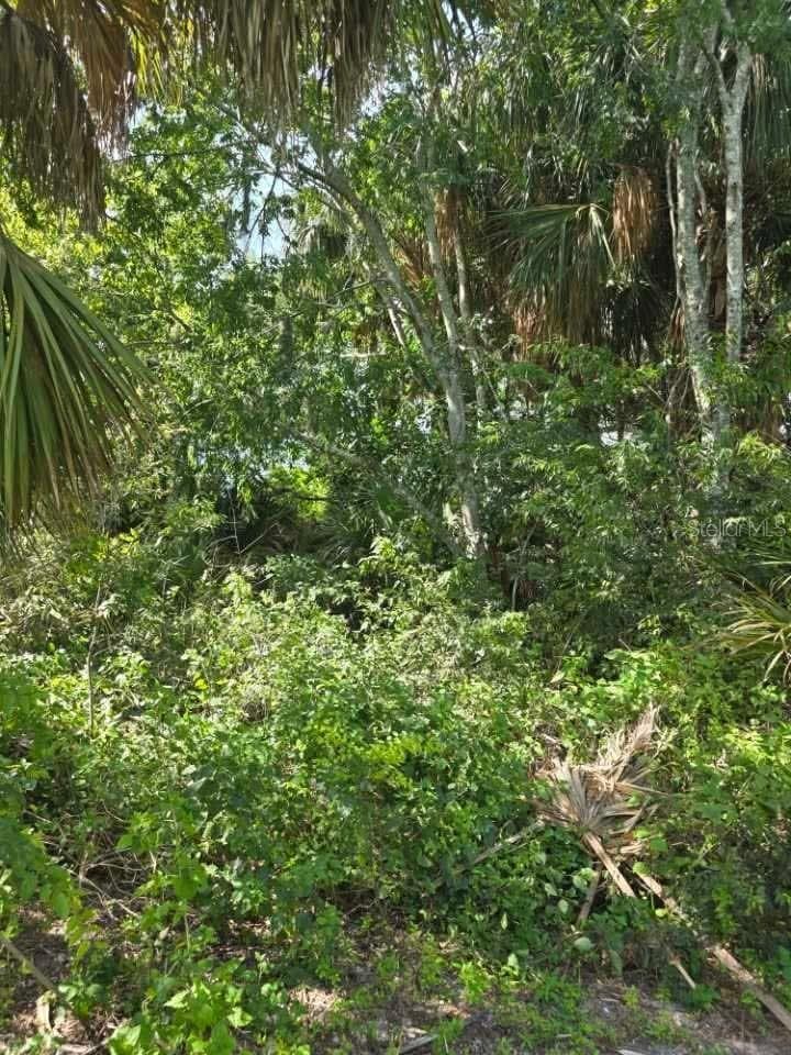 Land at 16980 SW CONNERS HWY, CANAL POINT, photo 6 of 14