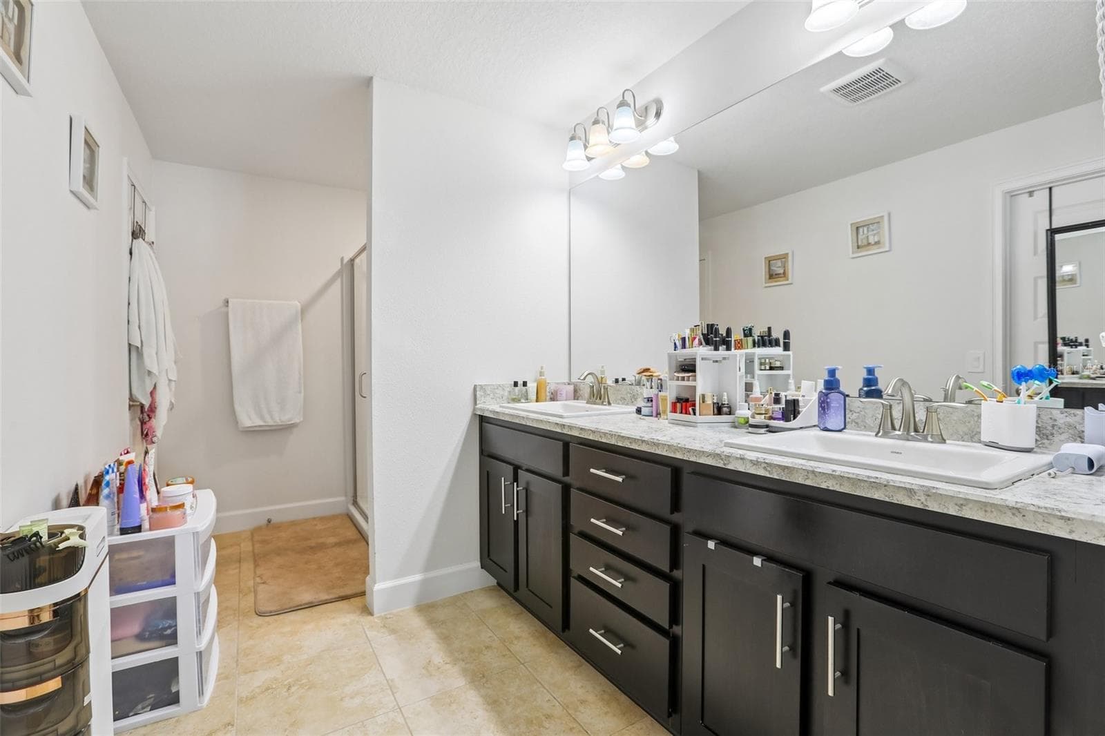 Master bathroom - 16214 VINE CLIFF AVE, HUDSON