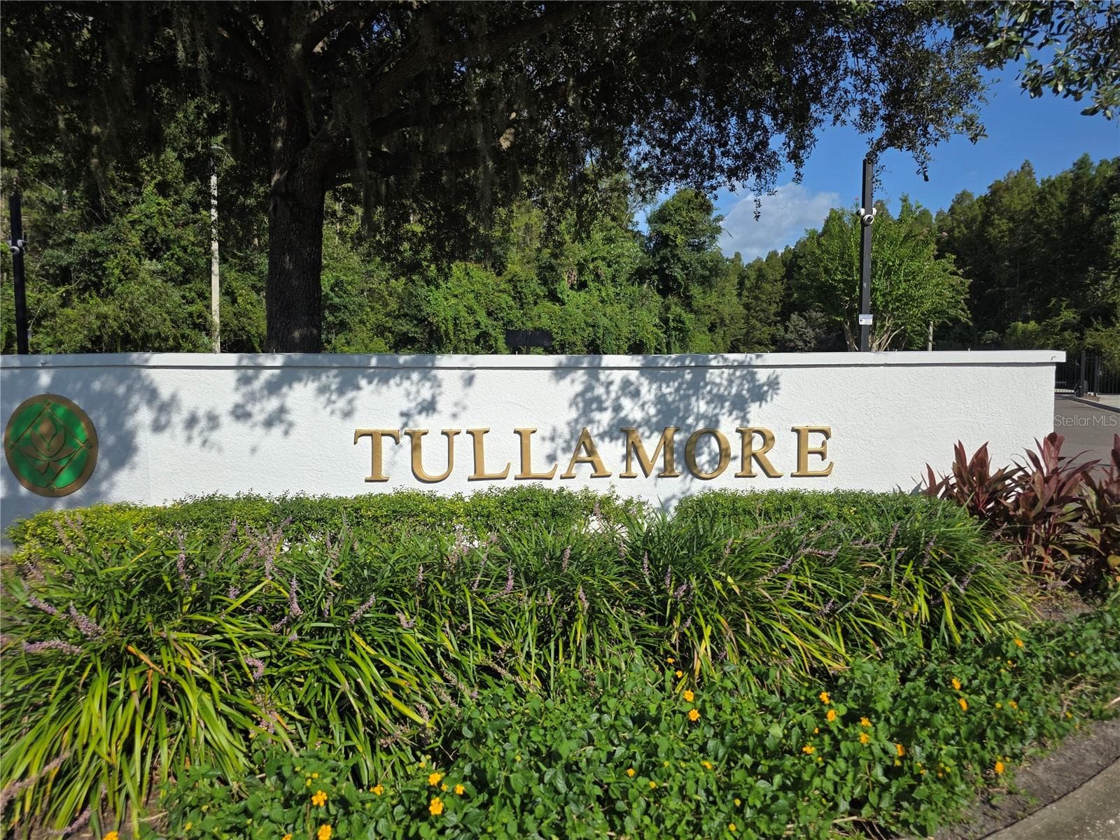 Tallamore village in Meadow Pointe II - 30148 GOODWICK WAY, WESLEY CHAPEL