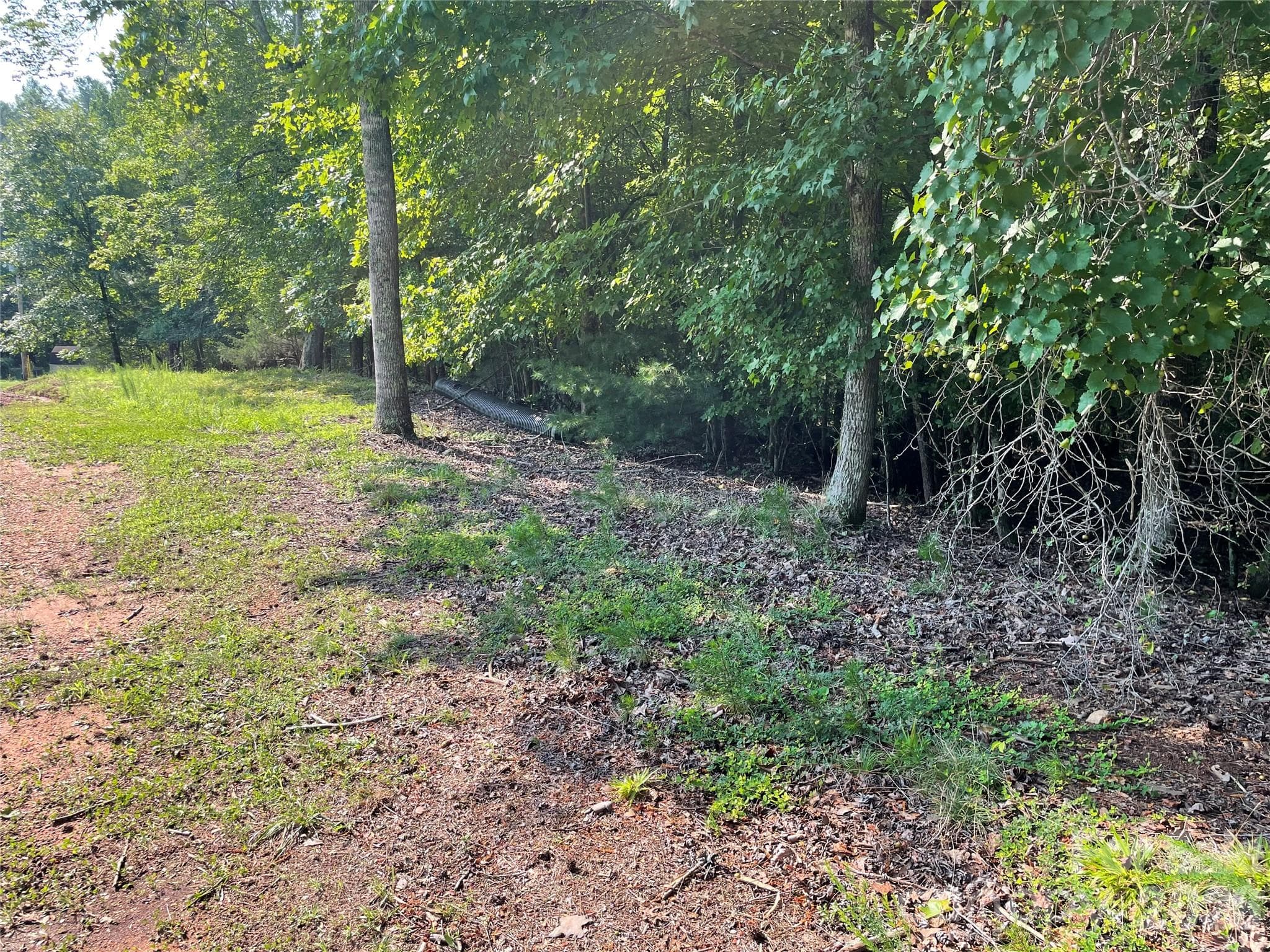 Lot at 0 River Bend Drive, Connelly Springs, photo 2 of 10