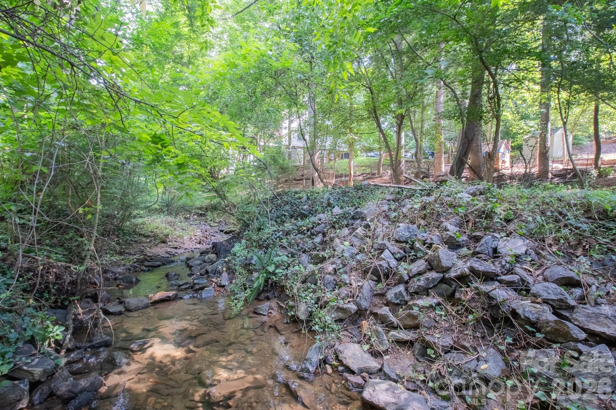Creek did not flood over the bank during Helene. - 99999 Rumbough Place, Asheville