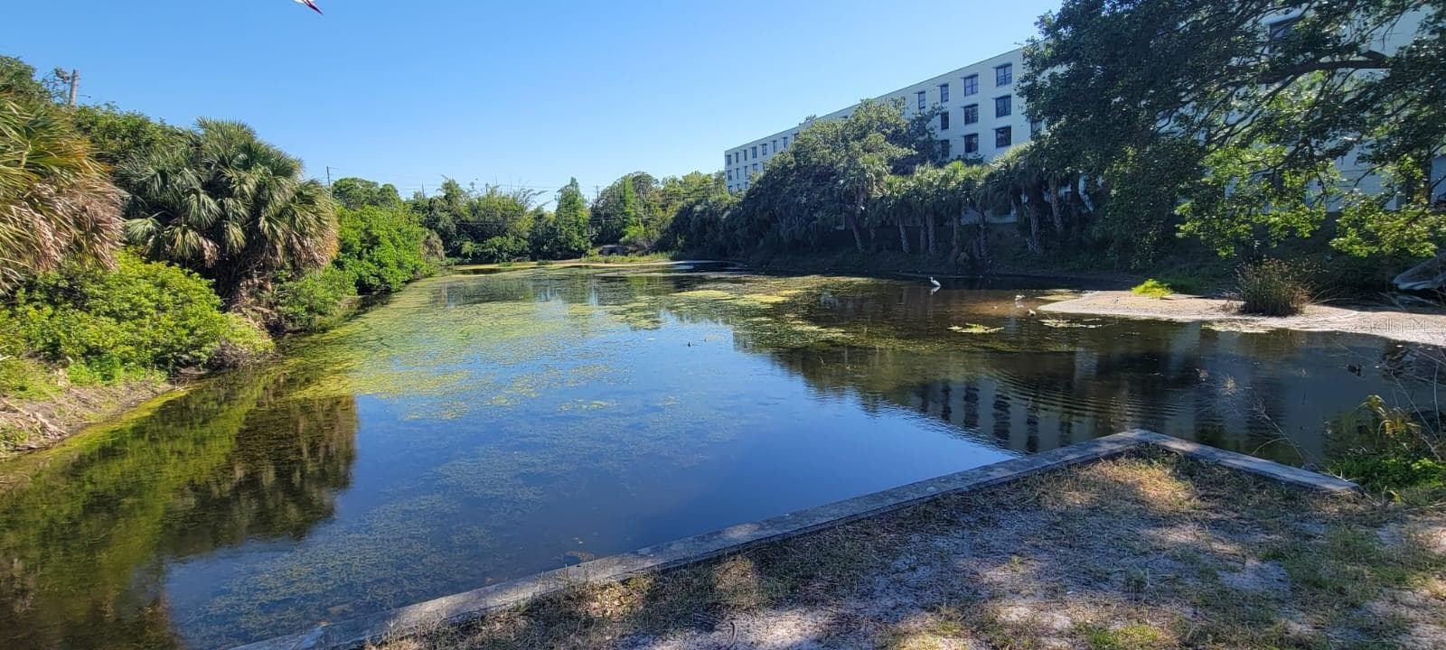 Condominium at 701 S MADISON AVE #316, CLEARWATER, photo 2 of 11