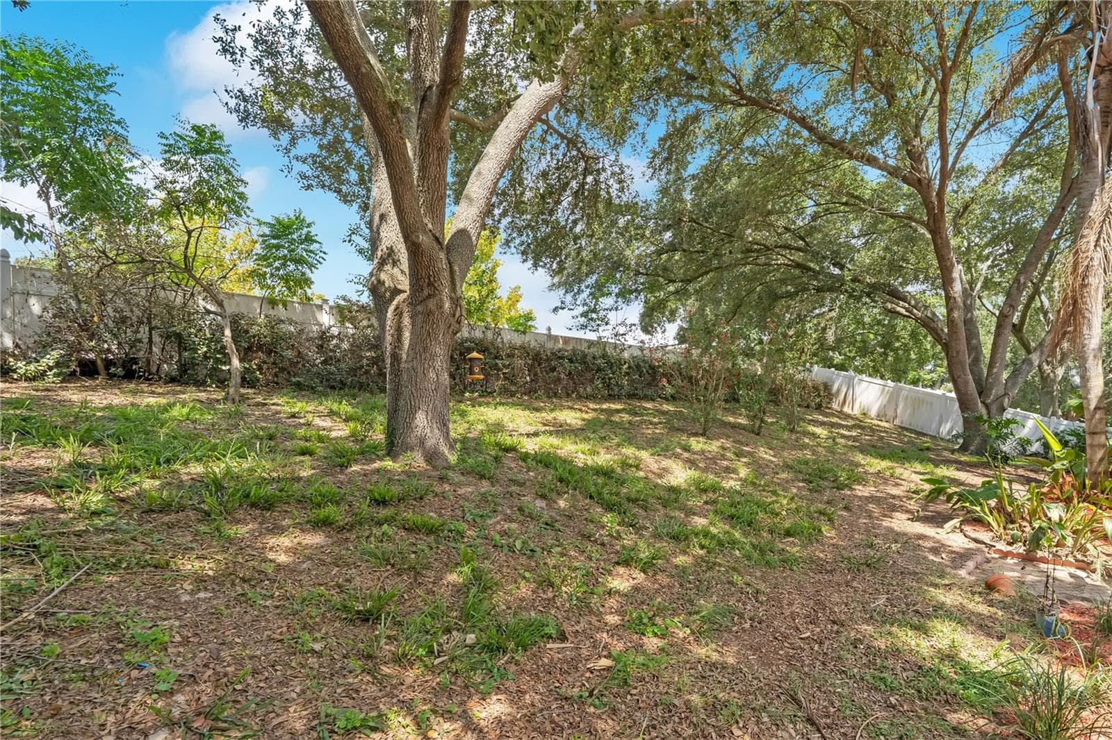 Backyard - 836 ELM FOREST DR, MINNEOLA