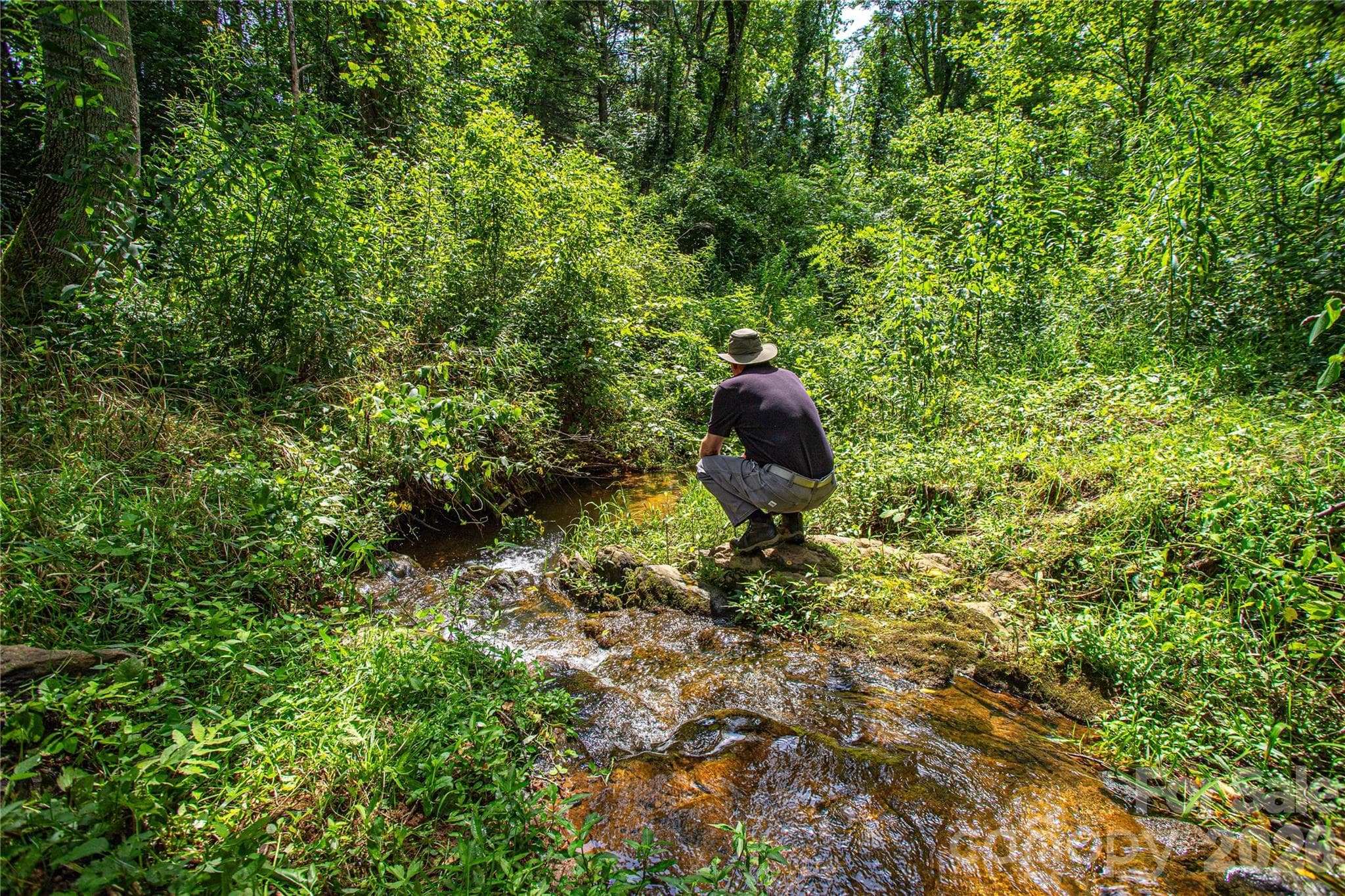 One of two year round creeks - 132 Hurd Road, Canton