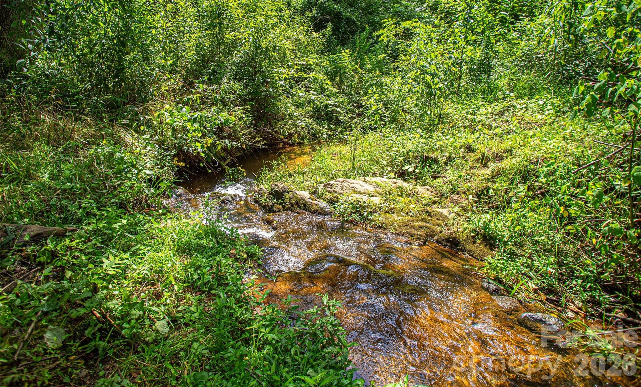 One of two year round creeks - 132 Hurd Road, Canton
