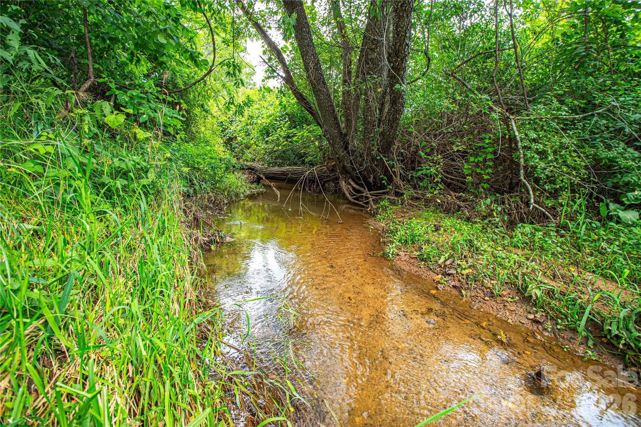 One of two year round creeks - 132 Hurd Road, Canton