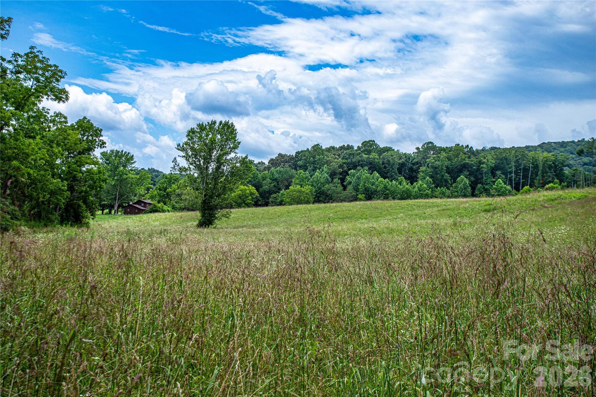 Acres of sun bathed fields for gardens or livestock or building a house or two - 132 Hurd Road, Canton