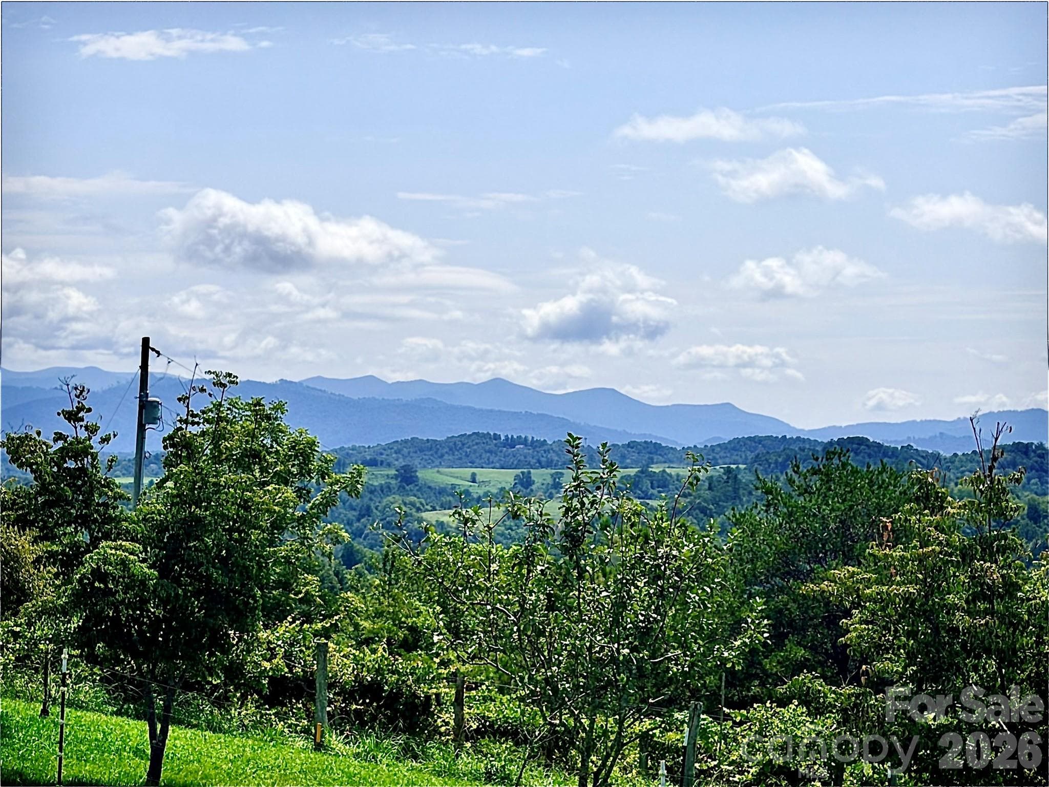 View from the lowest viewtower deck. - 194 Cabin Hollow Drive, Marshall