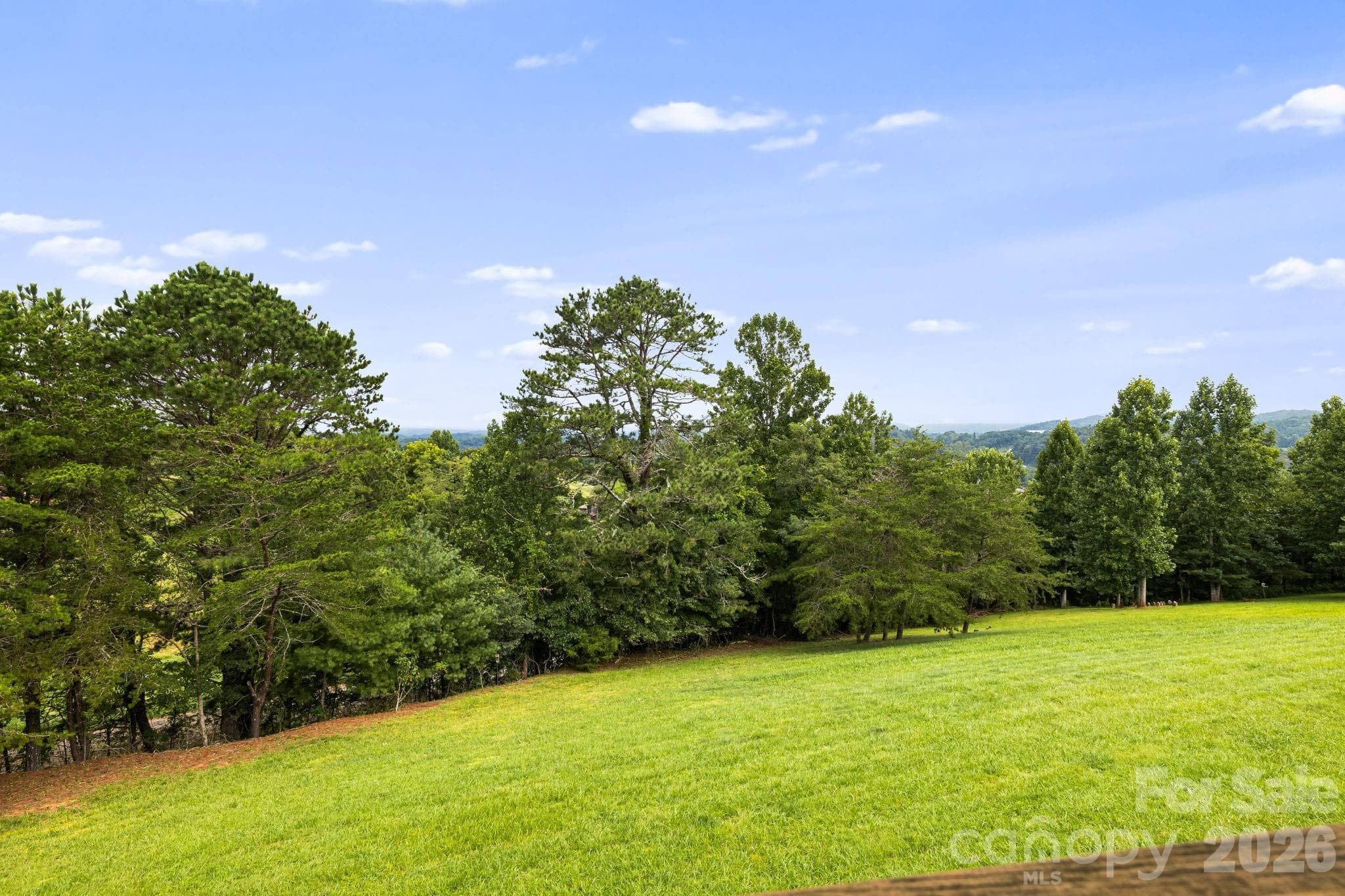 Backyard - 194 Cabin Hollow Drive, Marshall