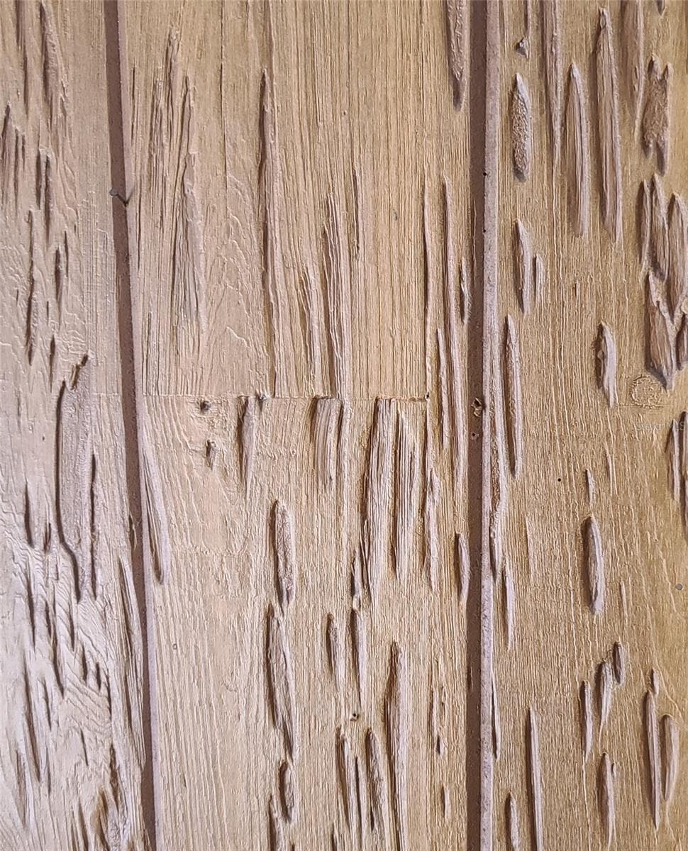 Specky Cypress Paneiing - 8665 MOCKINGBIRD LN, SEMINOLE