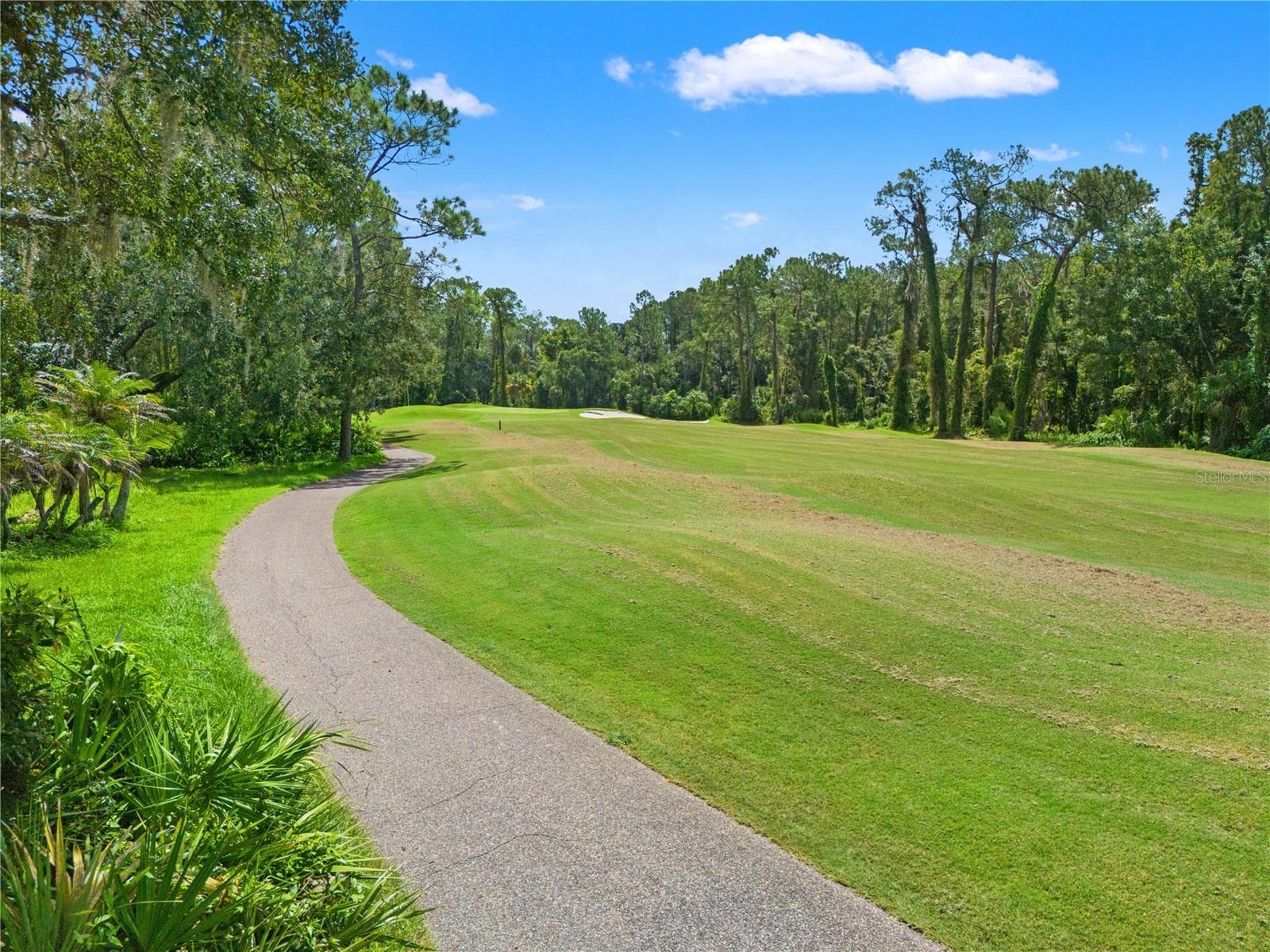 Single Family Residence at 6005 FAIRWAY PALMS CT, TAMPA, photo 49 of 58