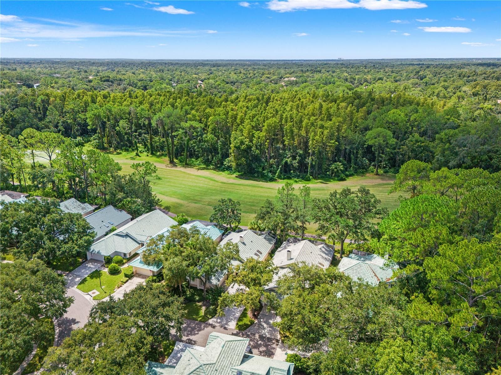Single Family Residence at 6005 FAIRWAY PALMS CT, TAMPA, photo 58 of 58