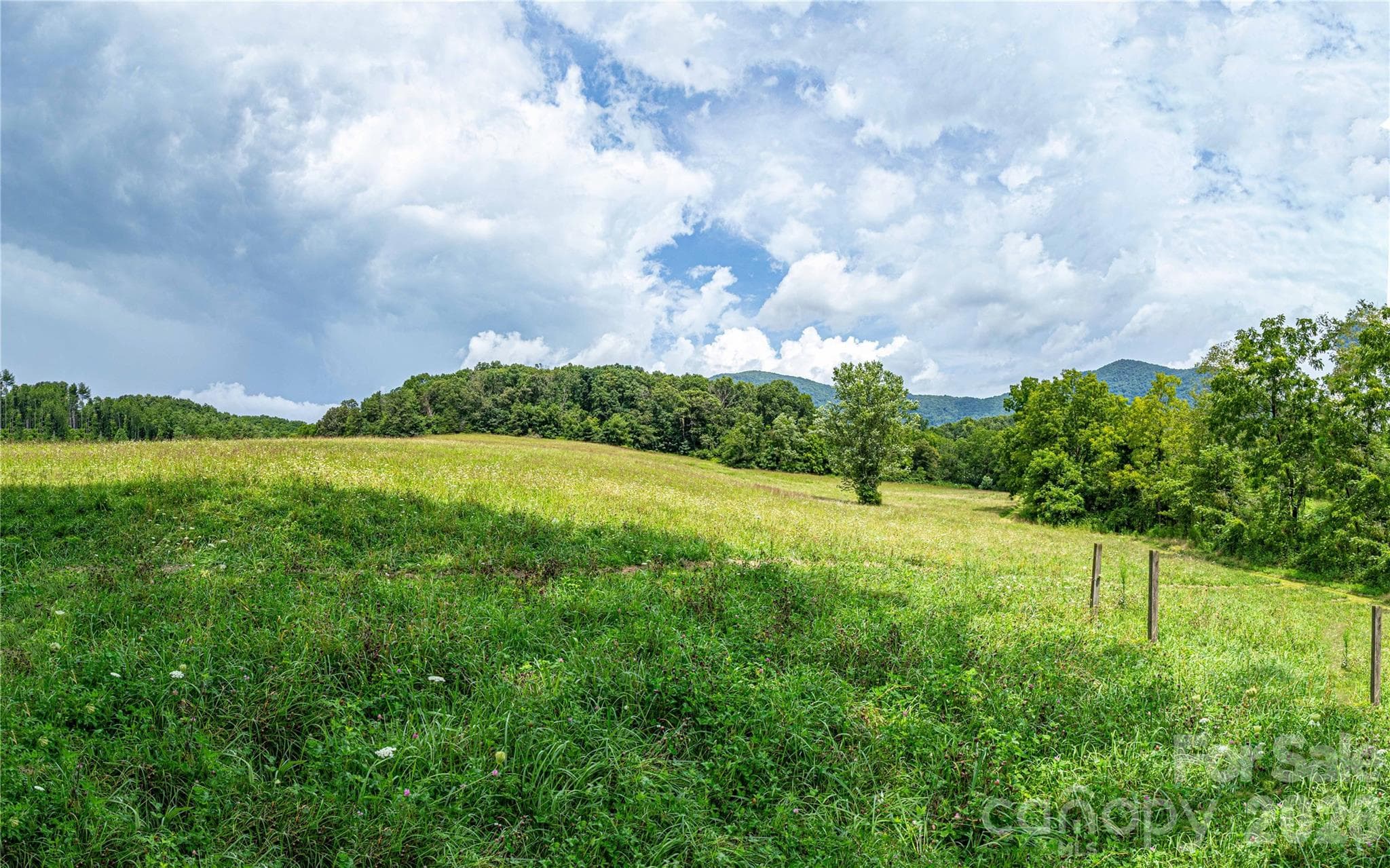 Acres and acres of gently laying field and pasture - 132 Hurd Road, Canton