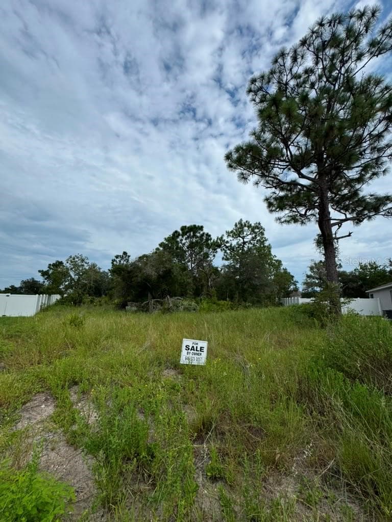 Land at 420 ST JOHNS LN, POINCIANA, photo 4 of 9