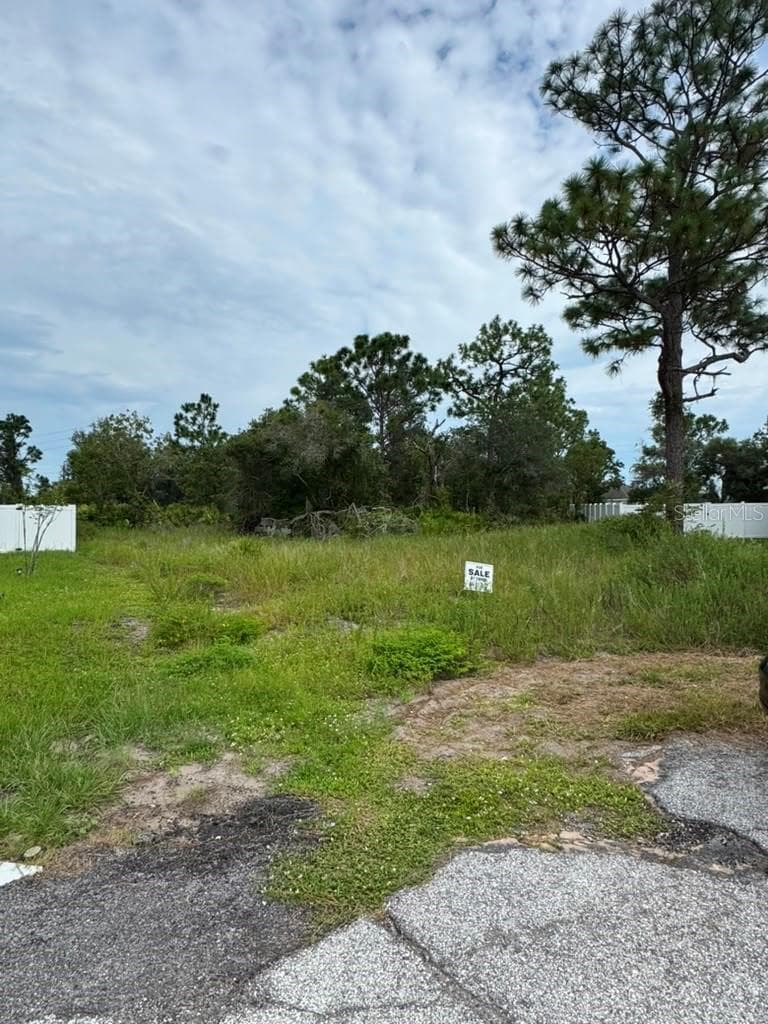 Land at 420 ST JOHNS LN, POINCIANA, photo 5 of 9