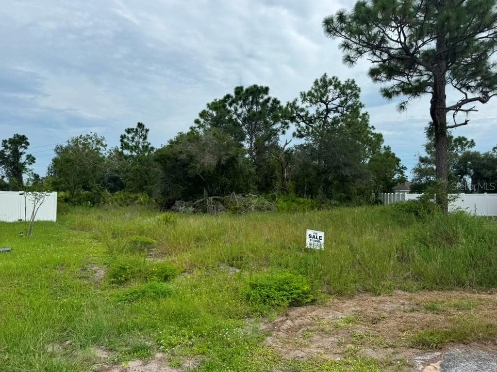 Land at 420 ST JOHNS LN, POINCIANA, photo 7 of 9