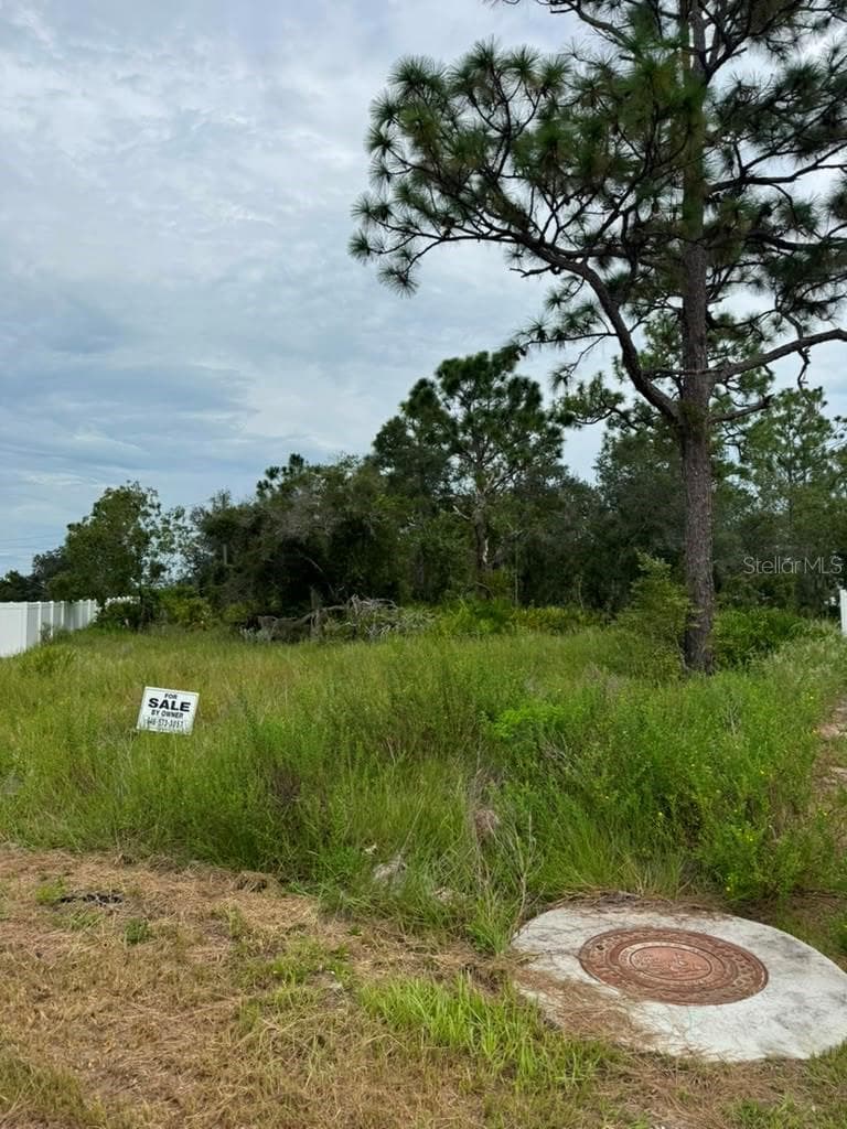 Land at 420 ST JOHNS LN, POINCIANA, photo 9 of 9