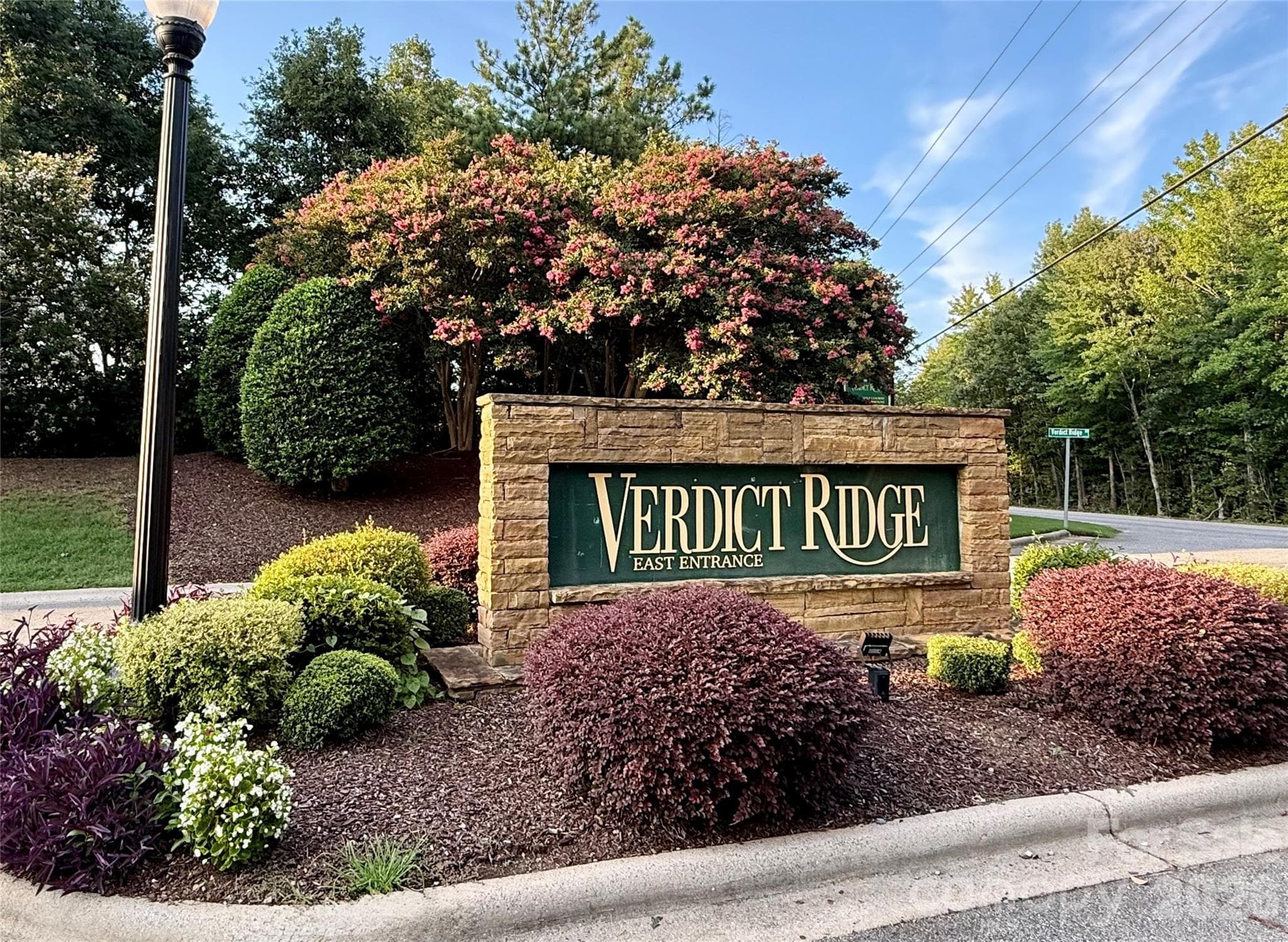 Verdict Ridge Golf Course Community - 1325 Winged Foot Drive, Denver