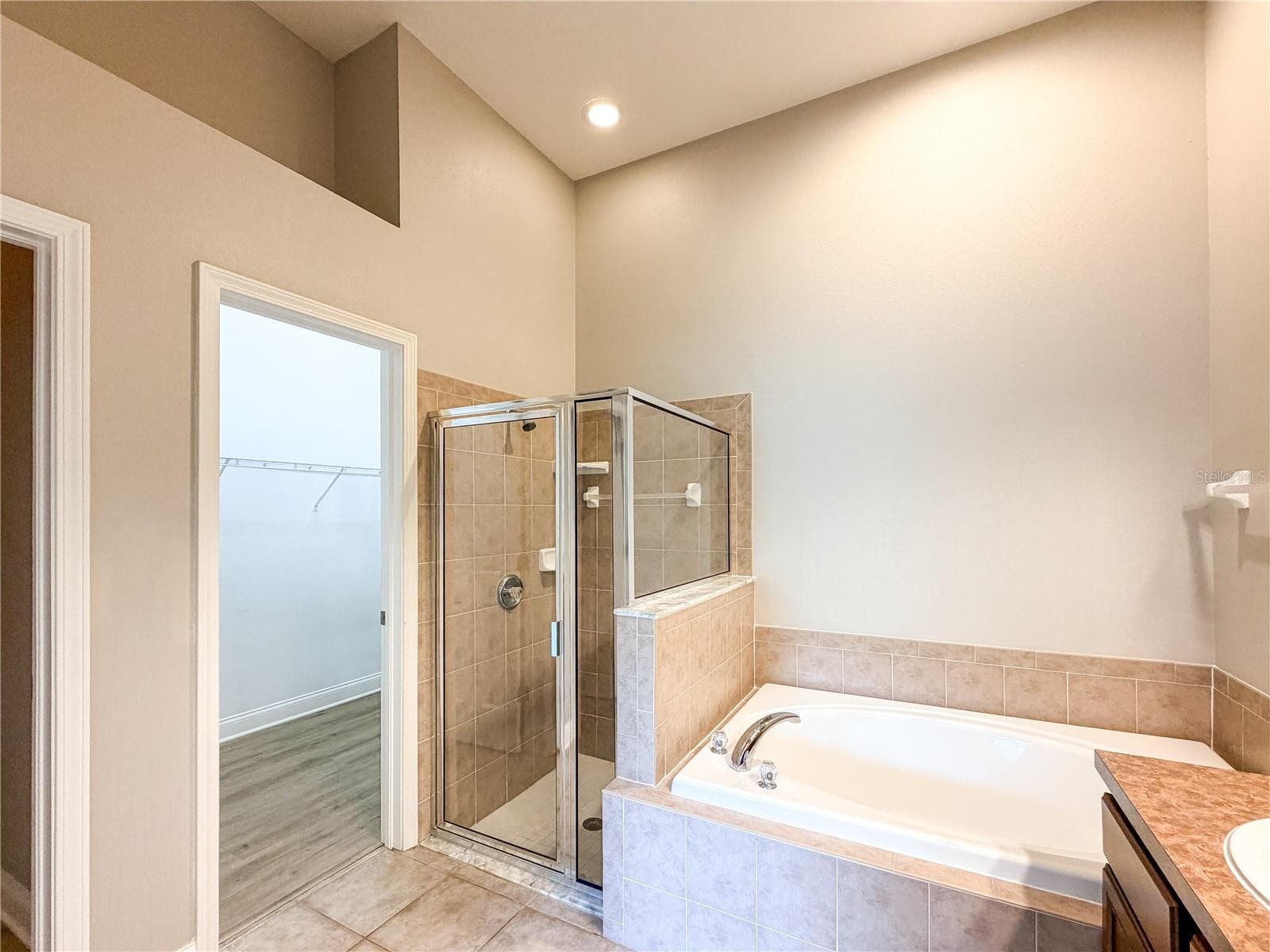 Primary bathroom 2 - 19408 EVERTON PL, LAND O LAKES