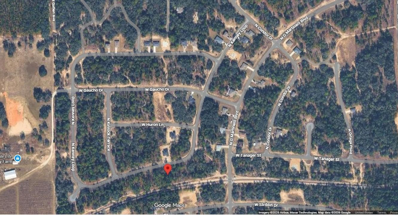 Land at 11345 N KENNEY LOOP, CITRUS SPRINGS, photo 5 of 7