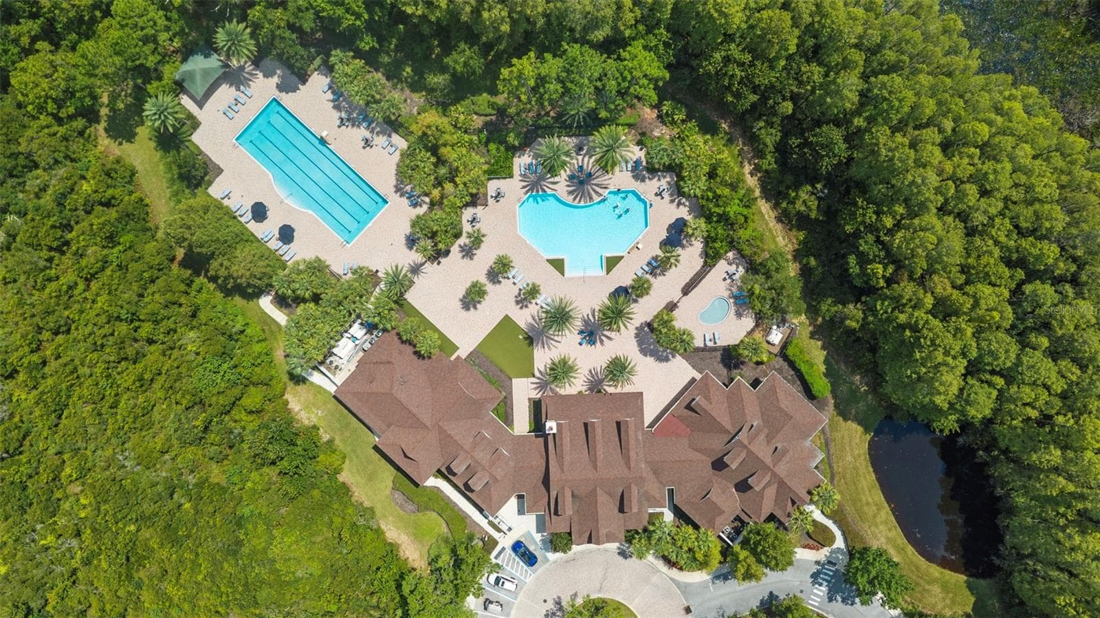 Pool - 19714 LONESOME PINE DR, LAND O LAKES