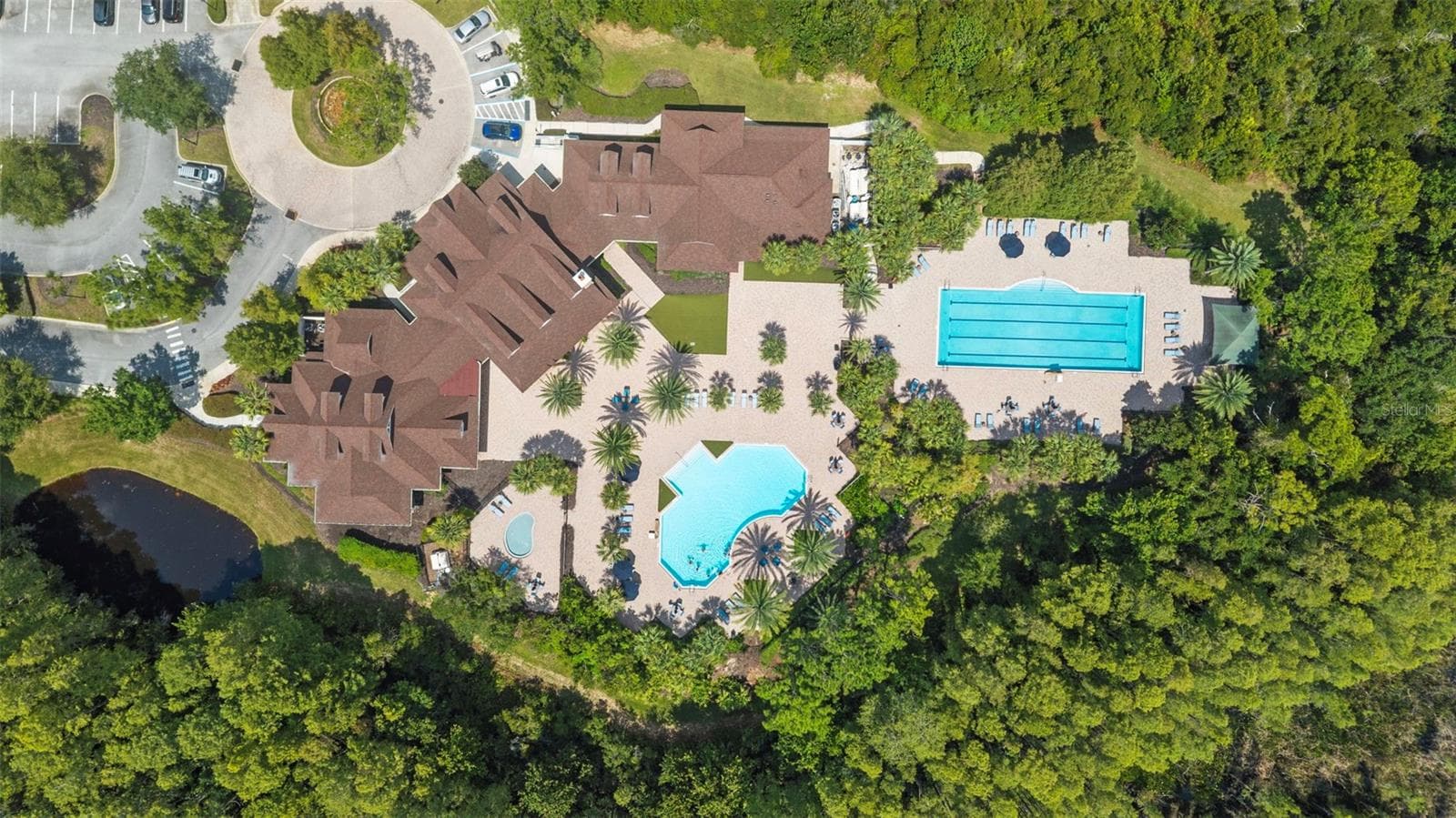 Pool - 19714 LONESOME PINE DR, LAND O LAKES