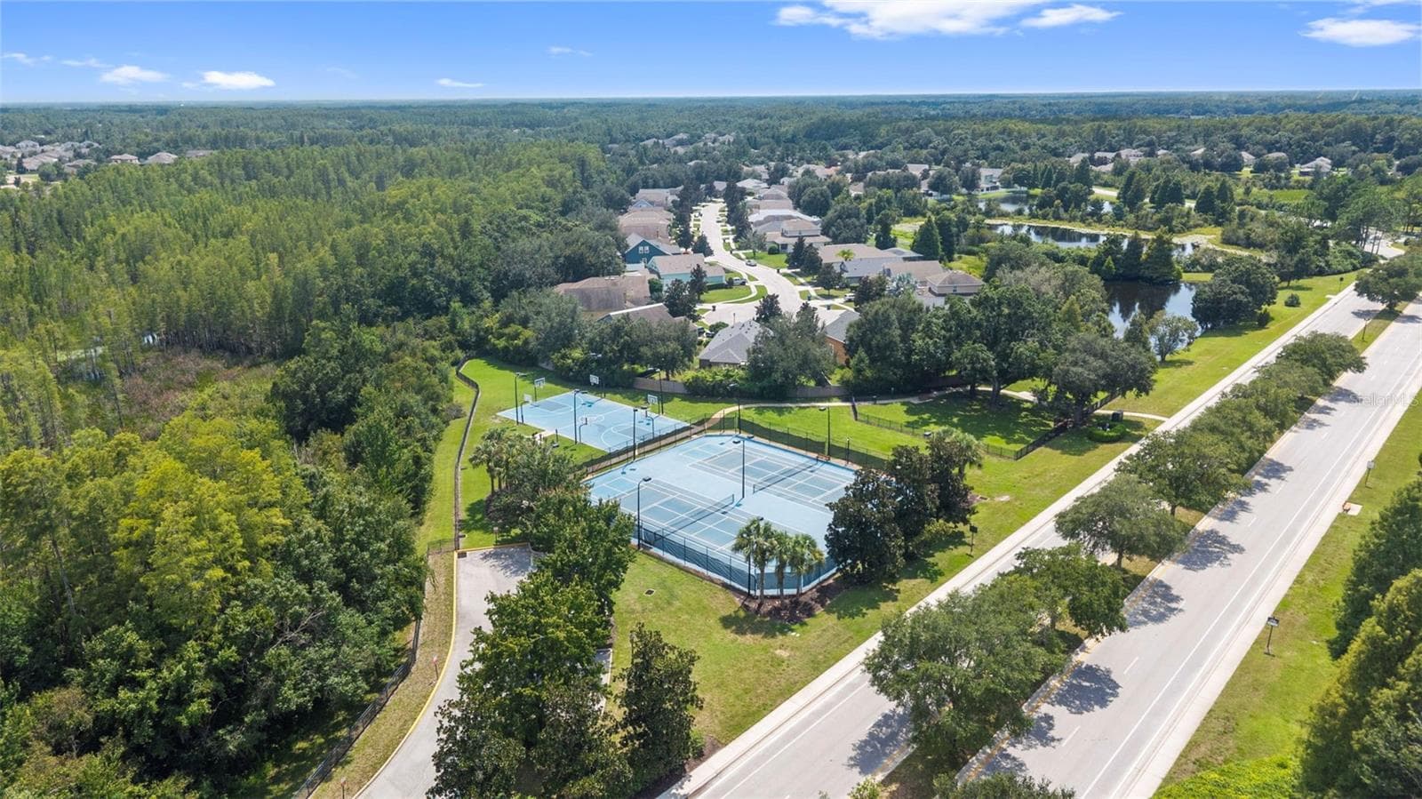 Basketball Courts/Tennis Courts/Dog Park - 19714 LONESOME PINE DR, LAND O LAKES