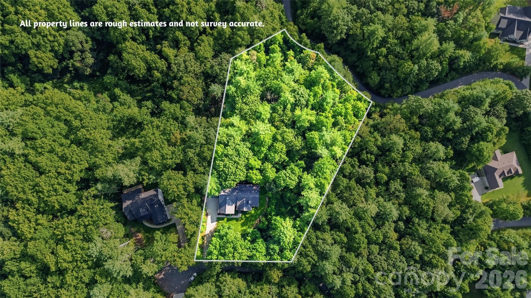 Aerial View of Approximate Property Boundaries - 72 Summer Shade Court, Hendersonville