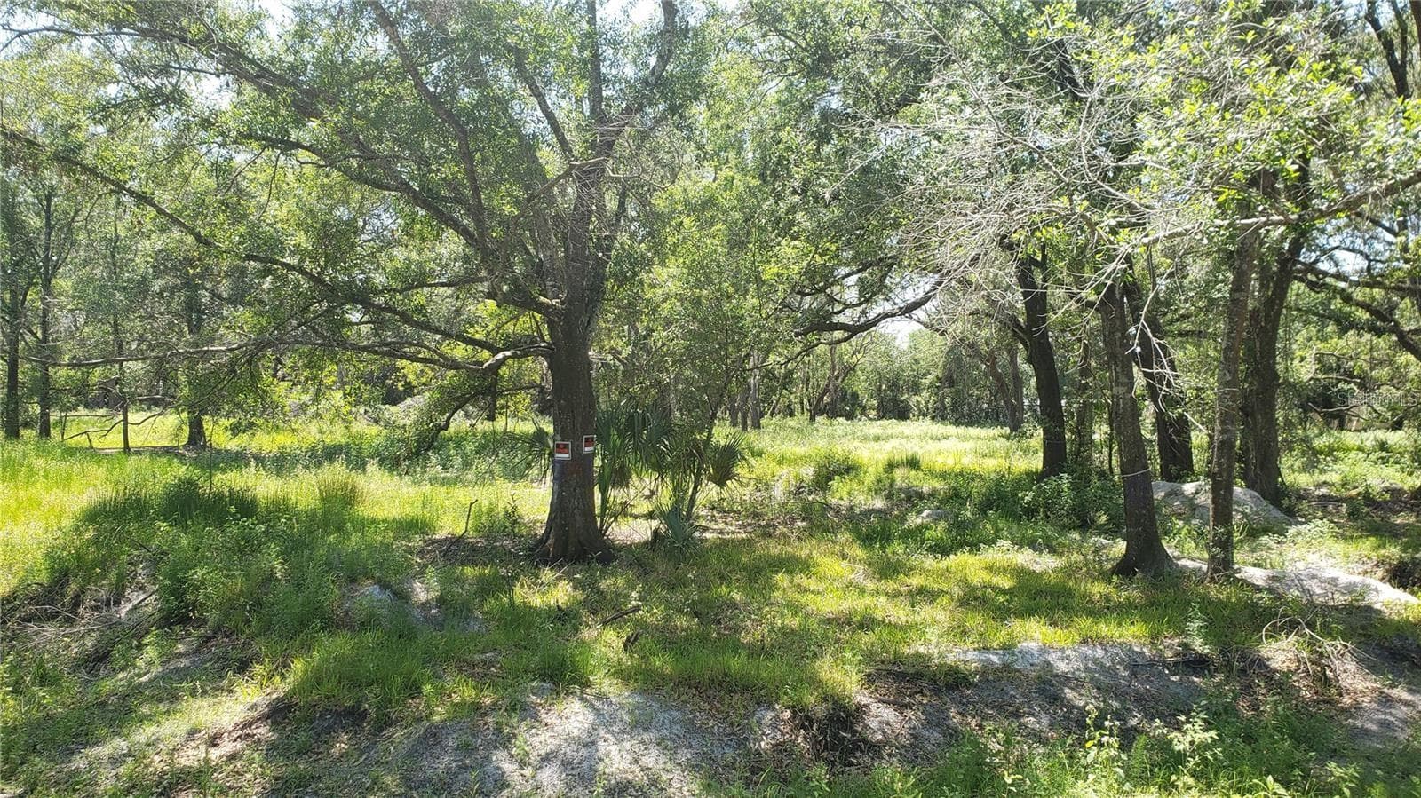 Land at 6420 N 47TH ST, TAMPA, photo 11 of 11