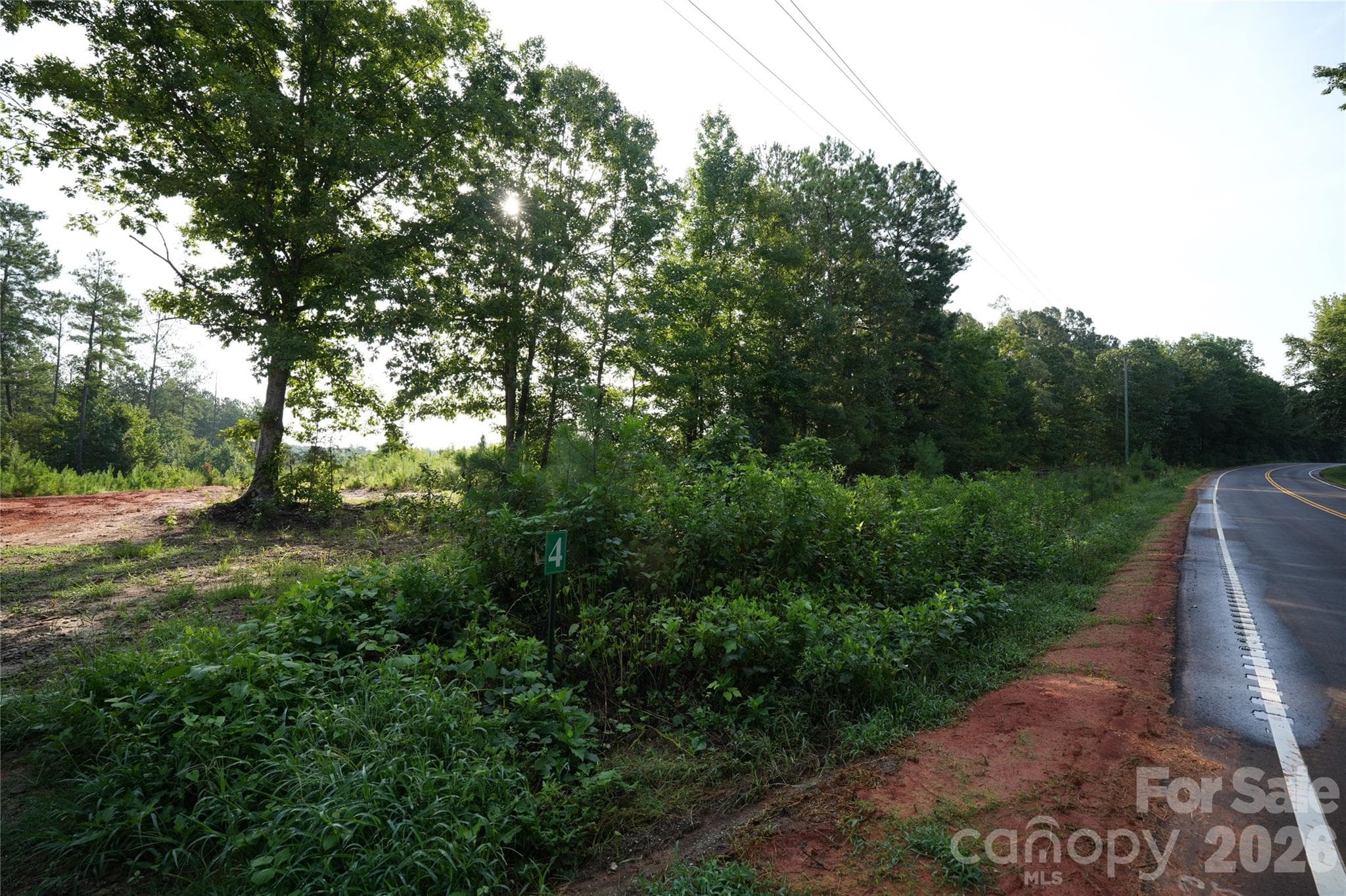 Acreage at Jonesville, photo 3 of 34