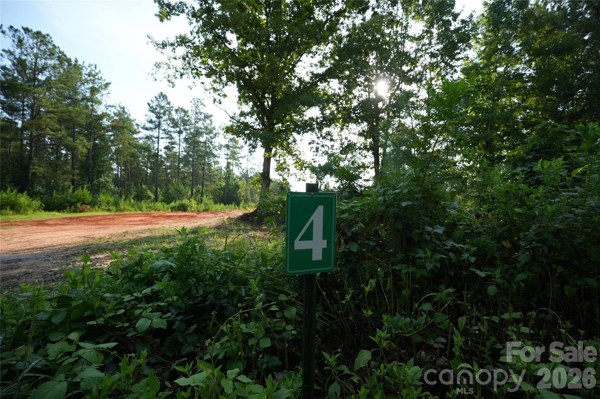 Acreage at Jonesville, photo 5 of 34