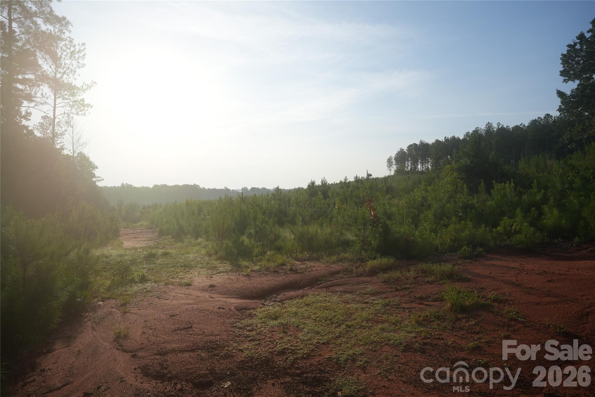 Acreage at Jonesville, photo 7 of 34