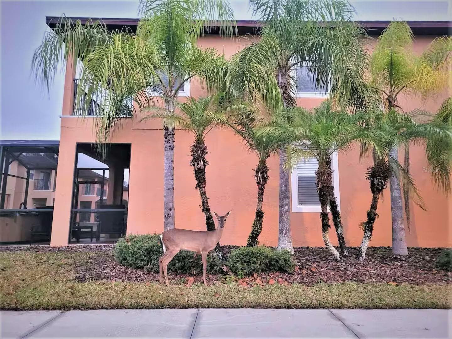Townhouse at 2700 CAMARO DR, KISSIMMEE, photo 41 of 74