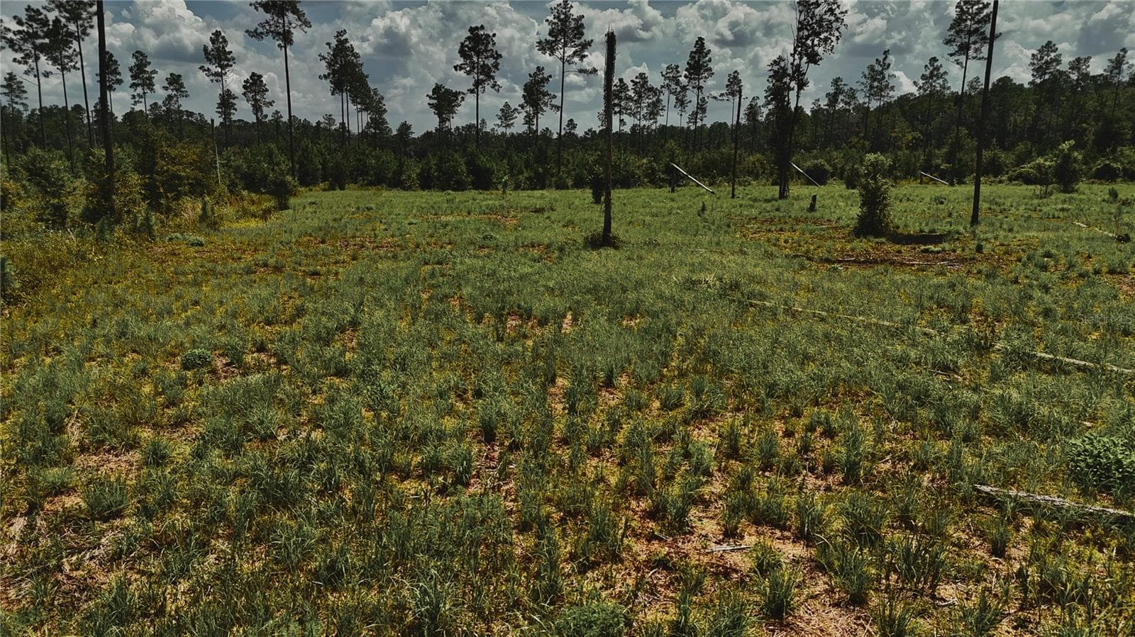 Land at 00 99TH LN, LIVE OAK, photo 3 of 52