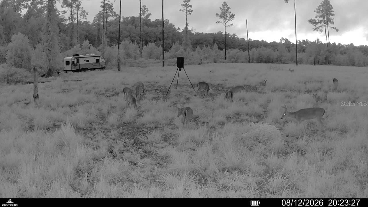 Land at 00 99TH LN, LIVE OAK, photo 22 of 52