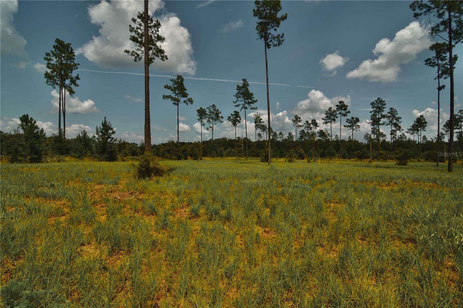 Land at 00 99TH LN, LIVE OAK, photo 24 of 52