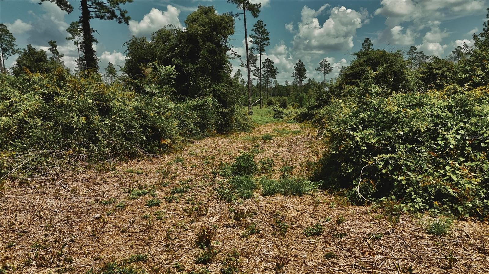 Land at 00 99TH LN, LIVE OAK, photo 26 of 52