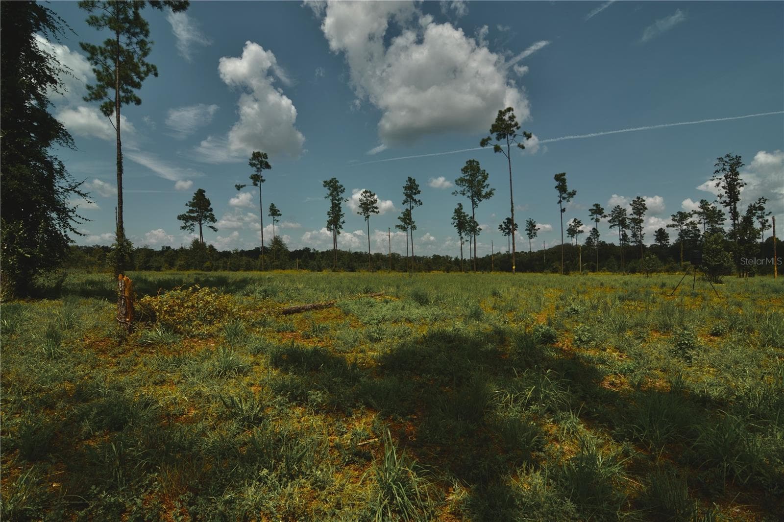 Land at 00 99TH LN, LIVE OAK, photo 40 of 52
