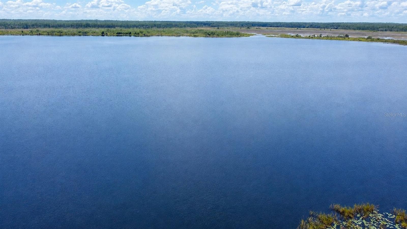 Lake Delancy - 23824 NE 188TH PL, FORT MC COY