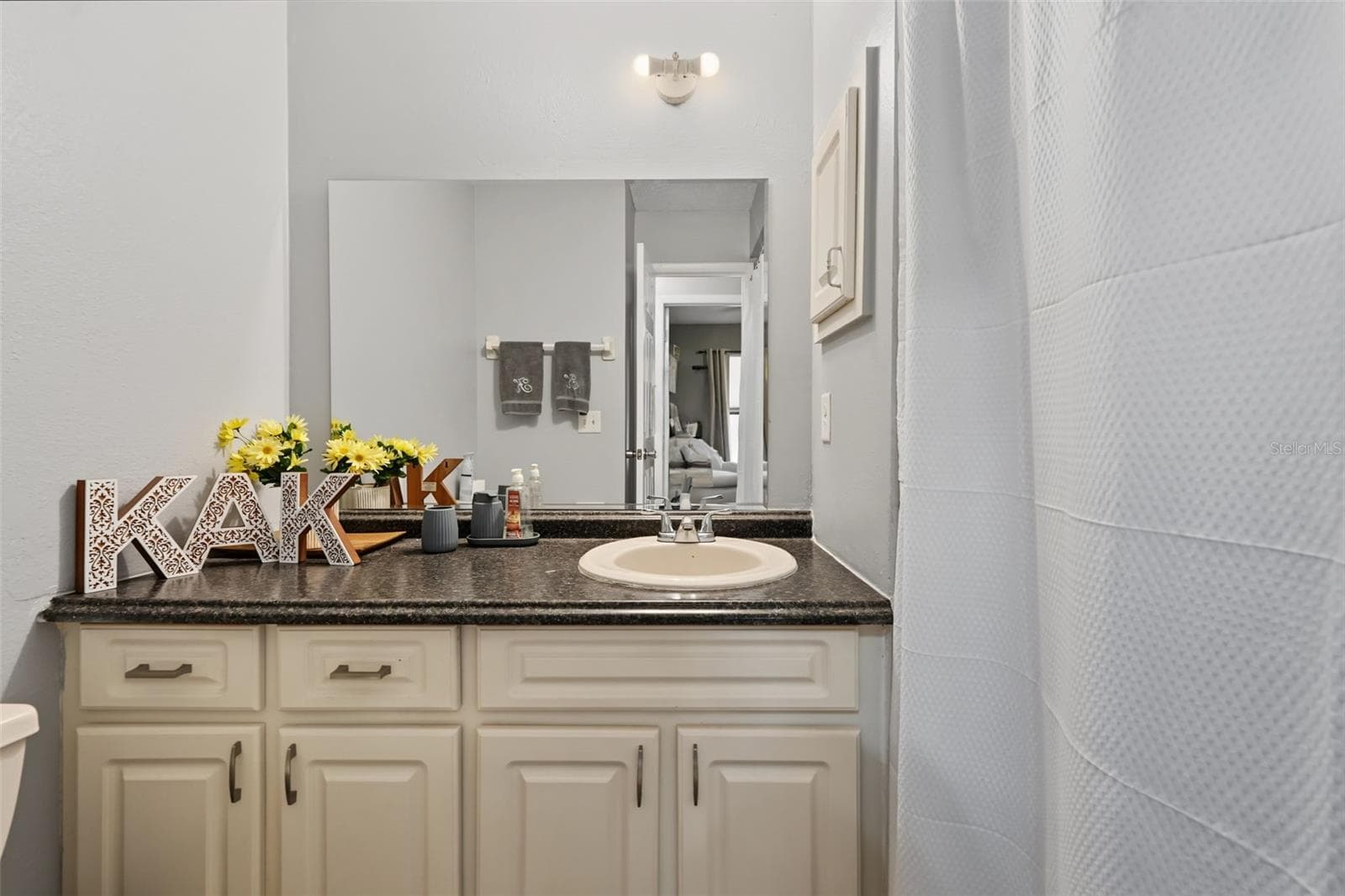 Guest Bathroom - 1318 LOUISIANA ST, PLANT CITY