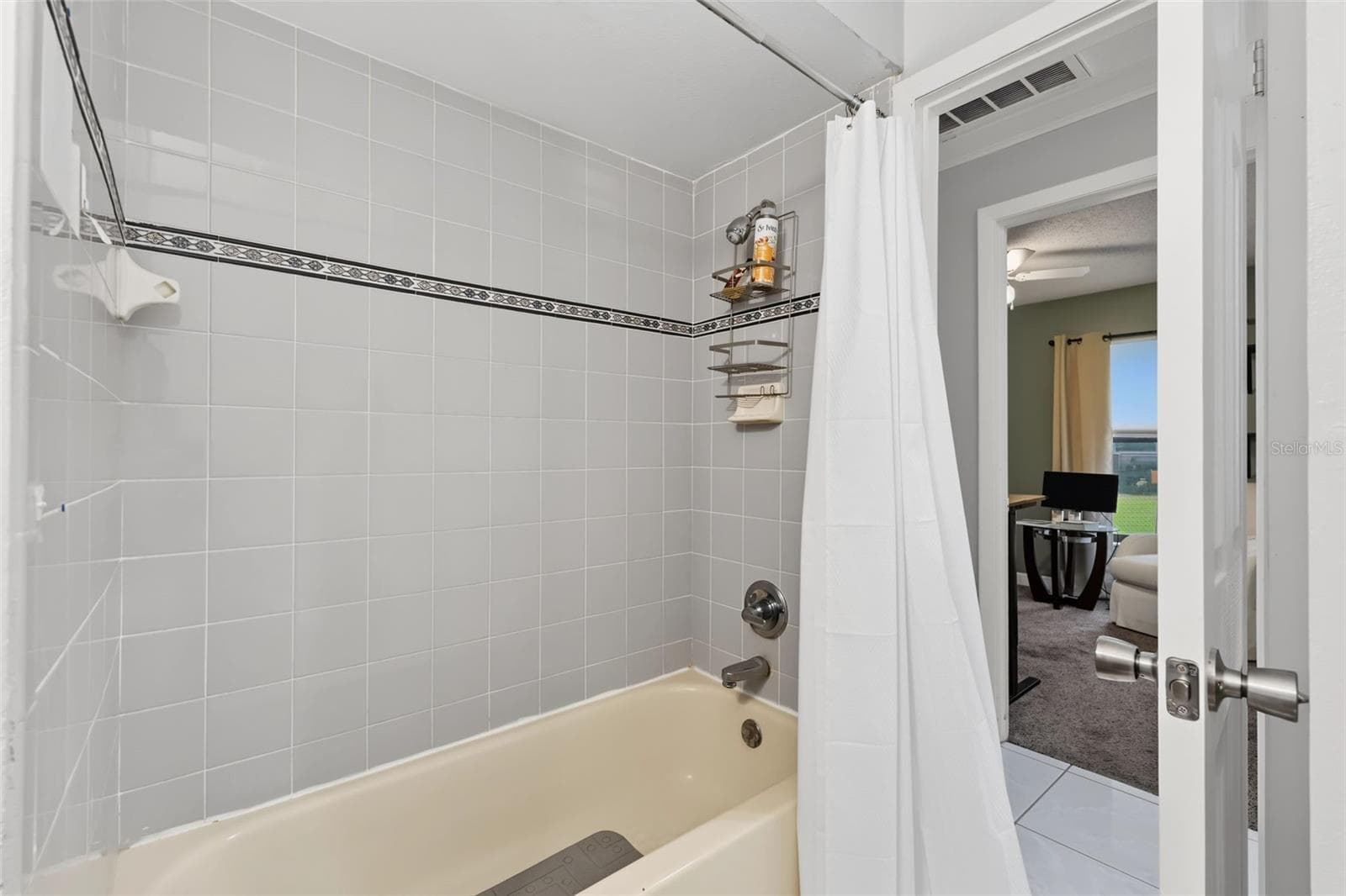 Guest Bathroom - 1318 LOUISIANA ST, PLANT CITY