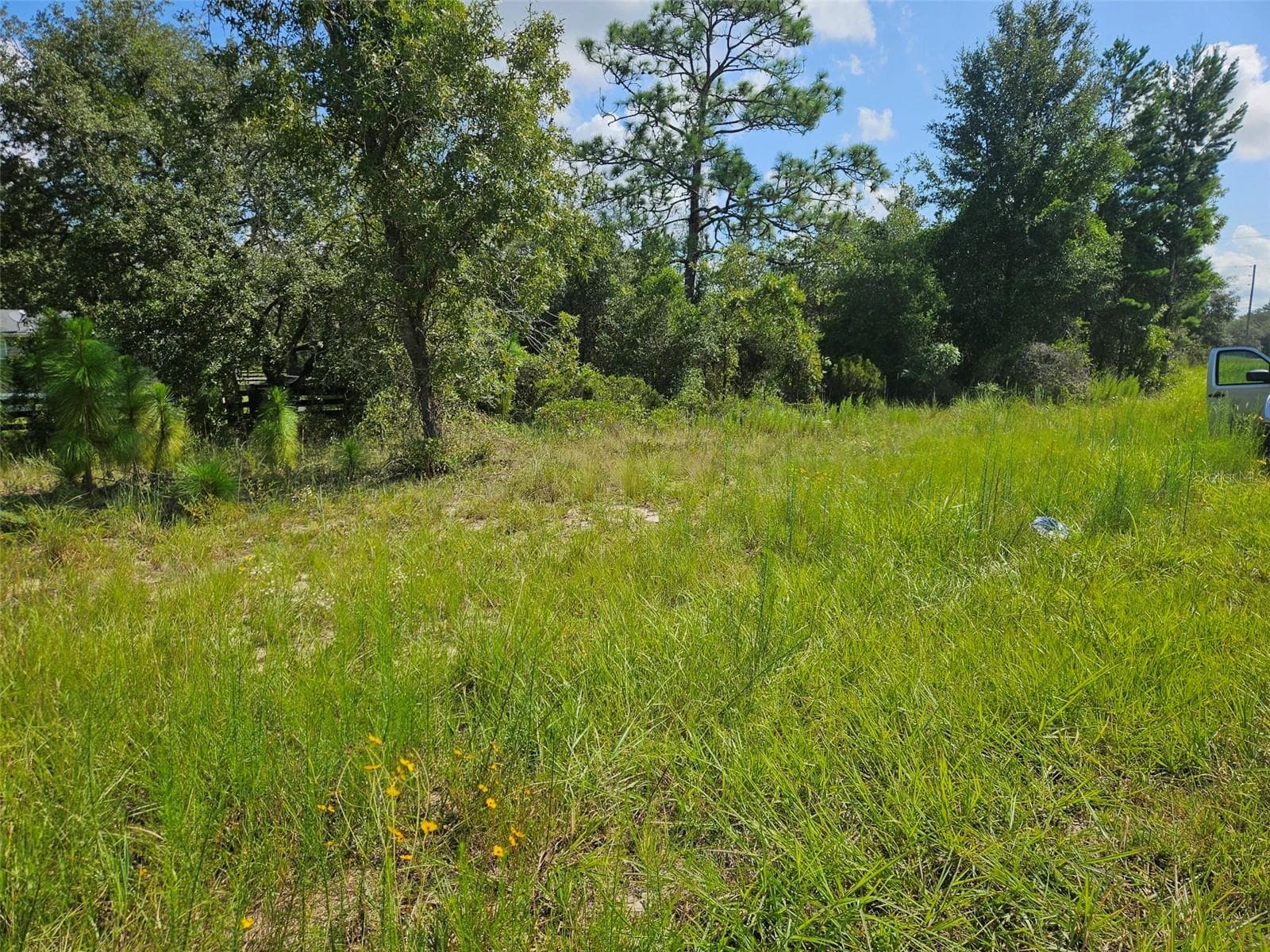 Land at 0000 NE 60TH ST, BRONSON, photo 5 of 8