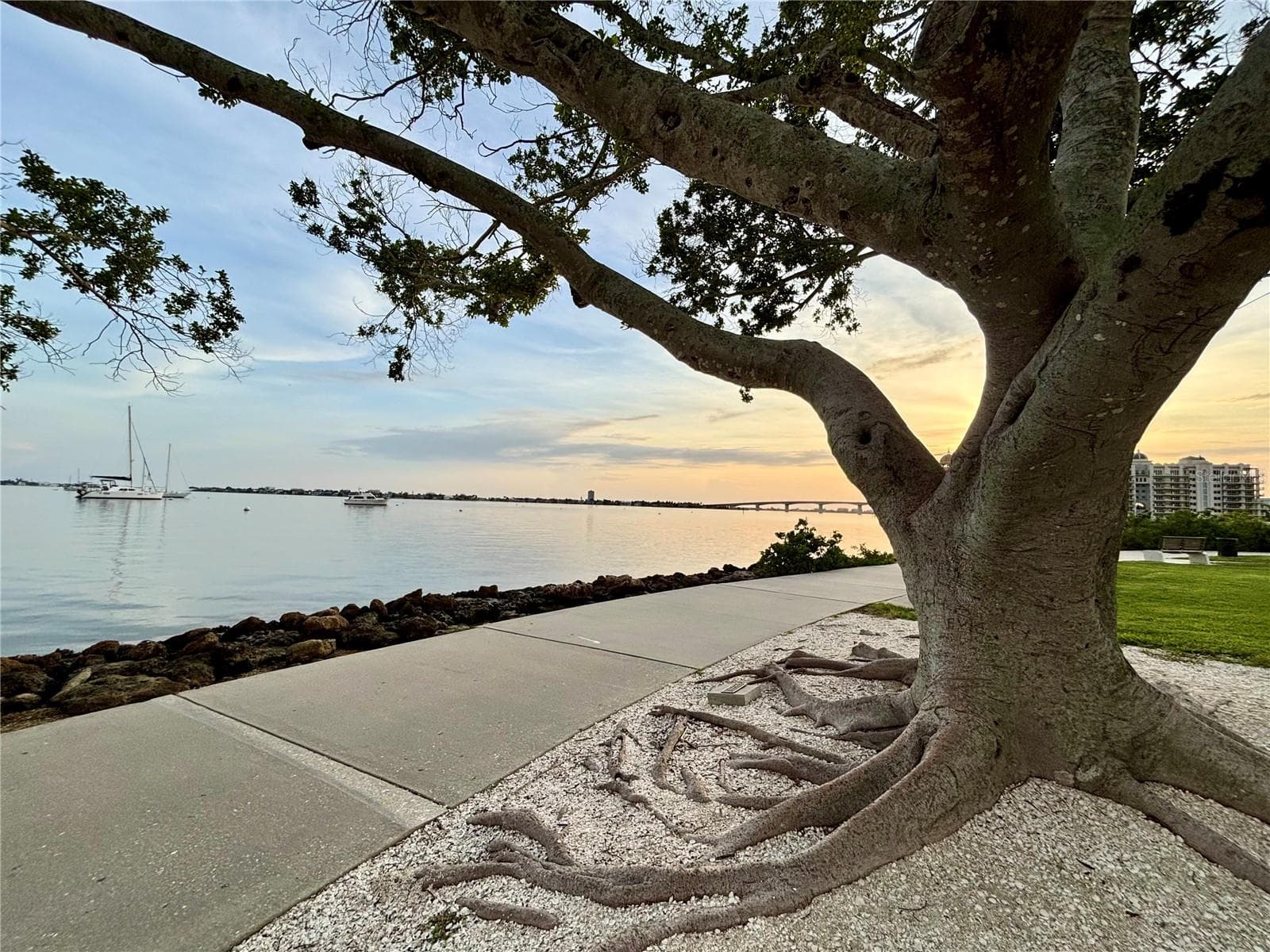 Bayfront Park .25 miles away - 707 S GULFSTREAM AVE #307, SARASOTA