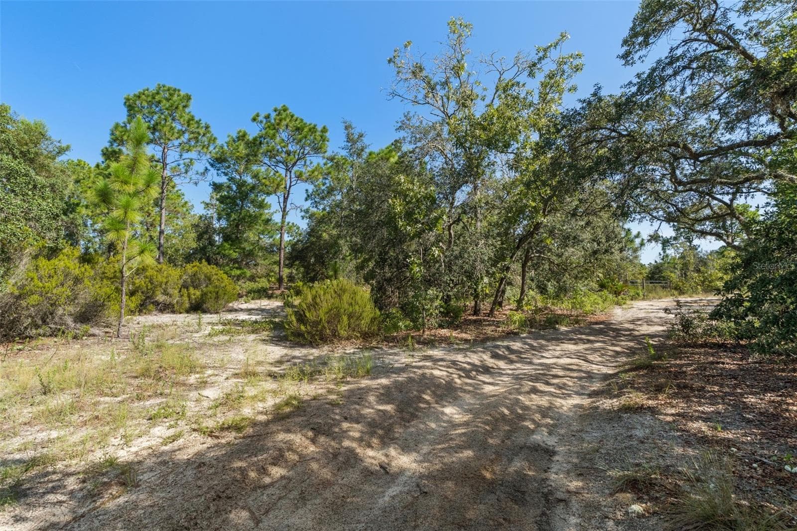 Land at 10806 N STATUE PT, DUNNELLON, photo 12 of 21